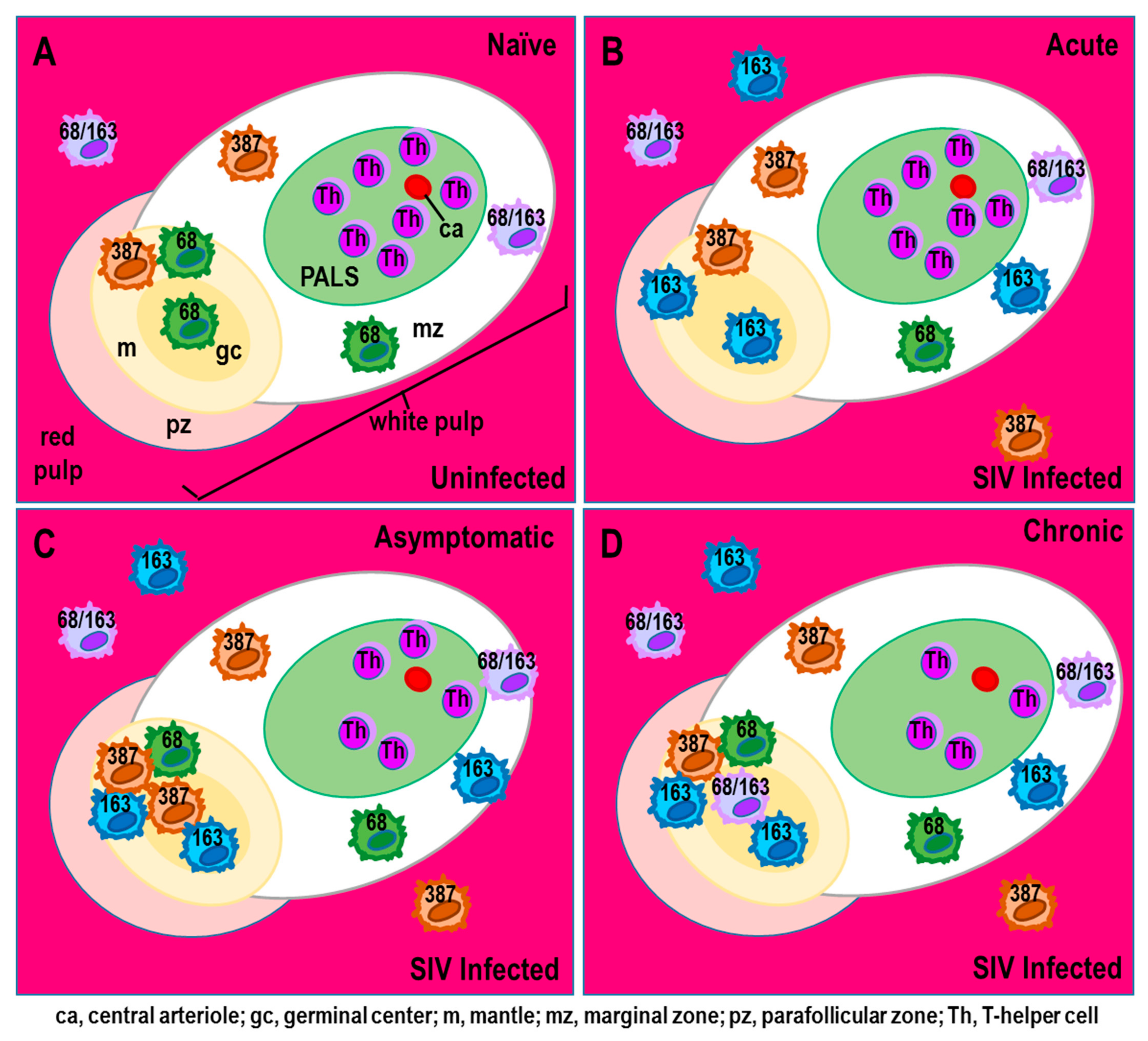 Cells 11 00673 g004 Cells 11 00673 g004