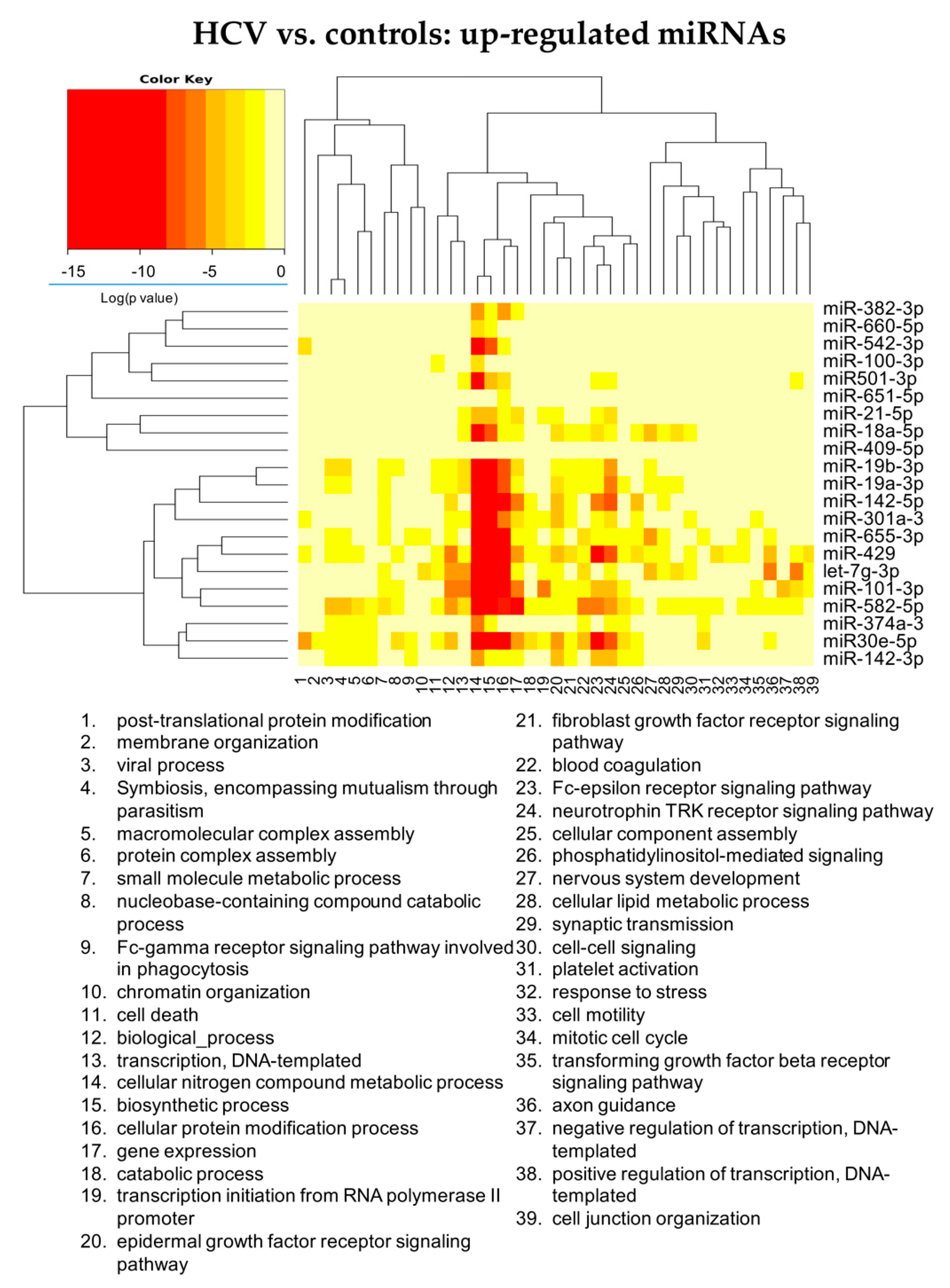 Cells 11 00690 g002 550