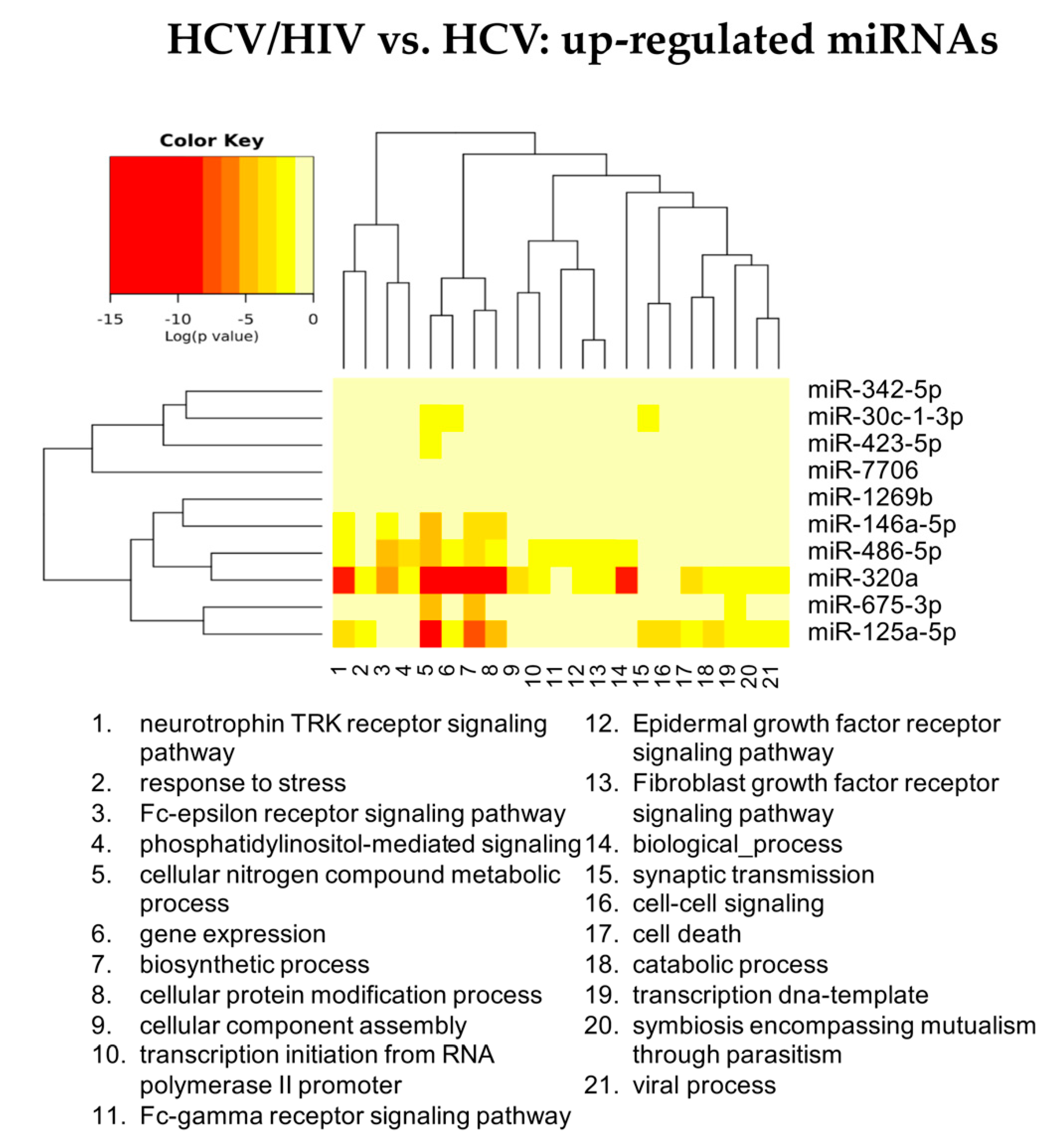 Cells 11 00690 g008 550