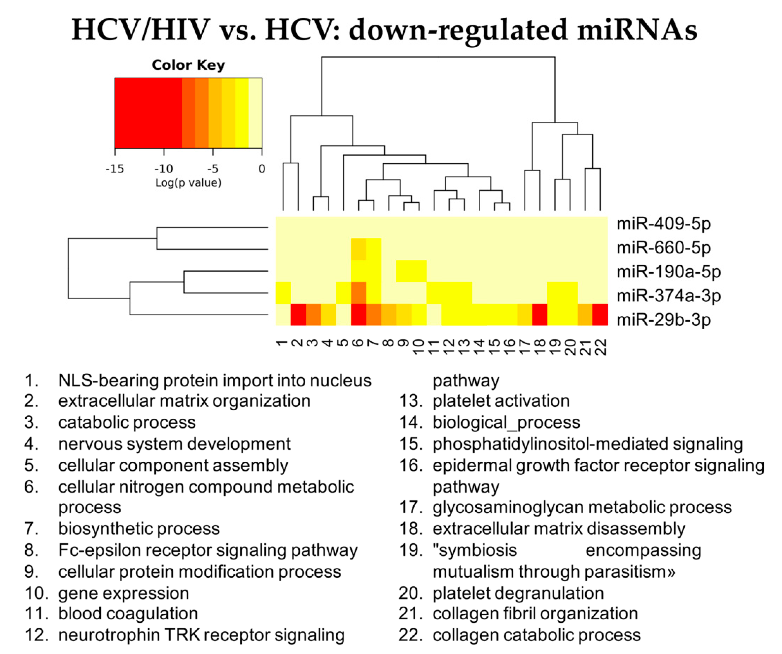 Cells 11 00690 g009 550