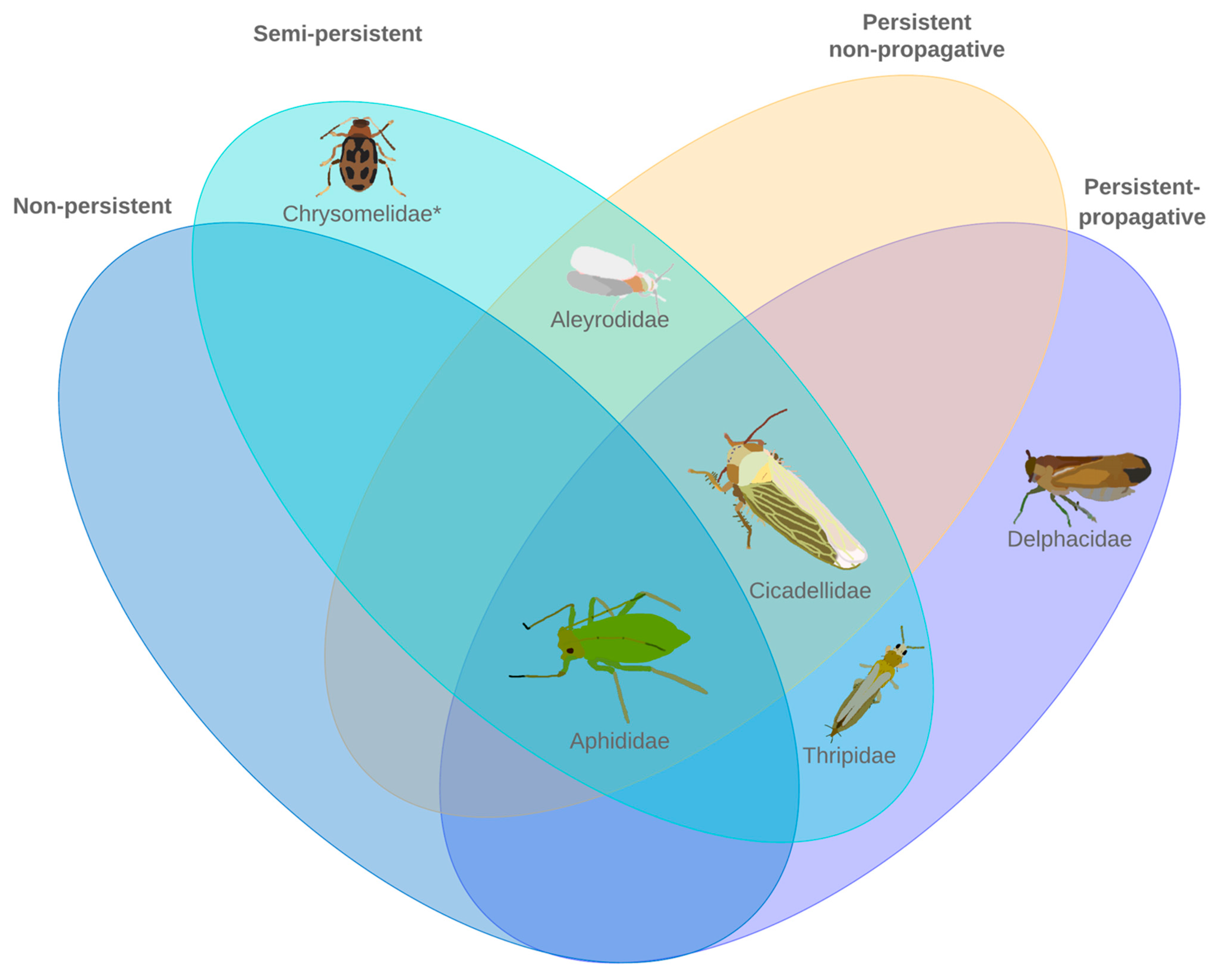 Cells 11 00693 g001 Cells 11 00693 g001