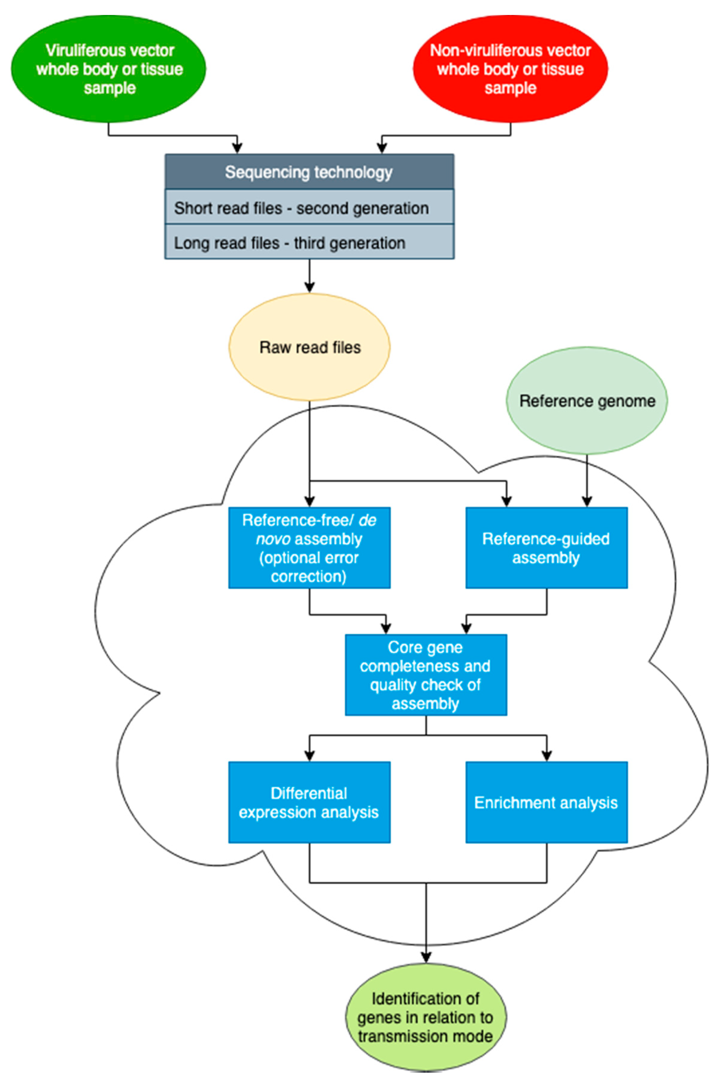 Cells 11 00693 g002 Cells 11 00693 g002