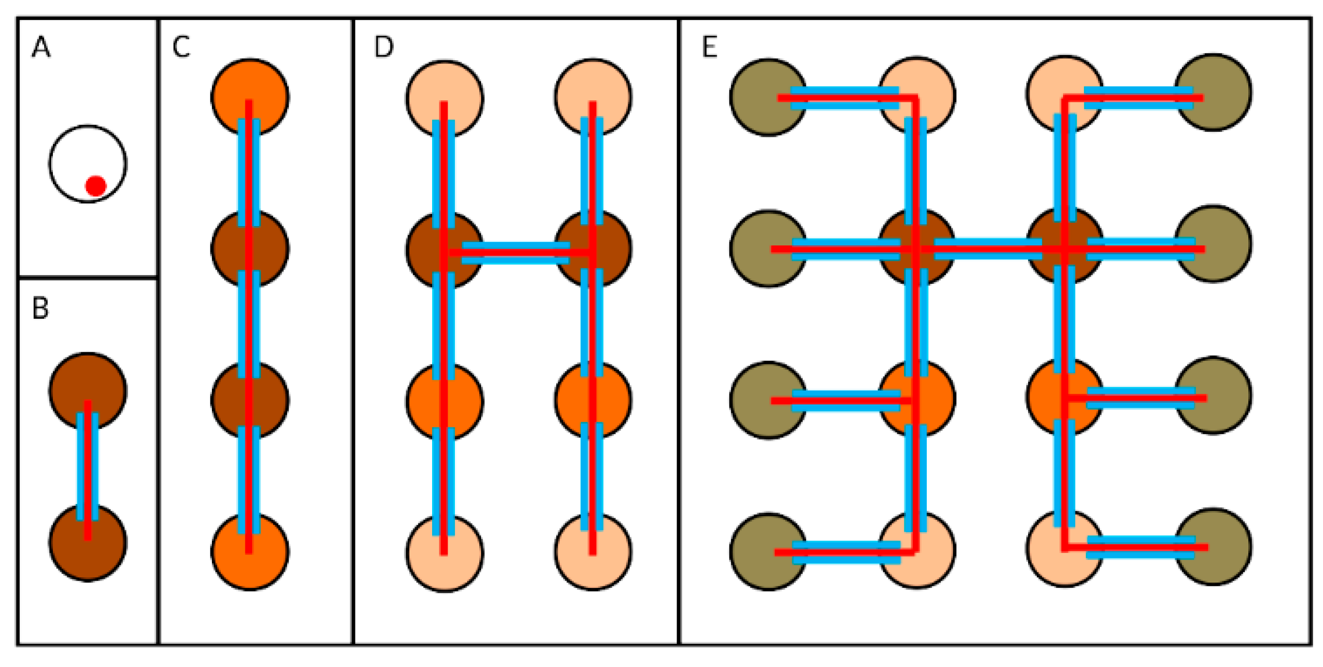 Cells 11 00695 g004 Cells 11 00695 g004