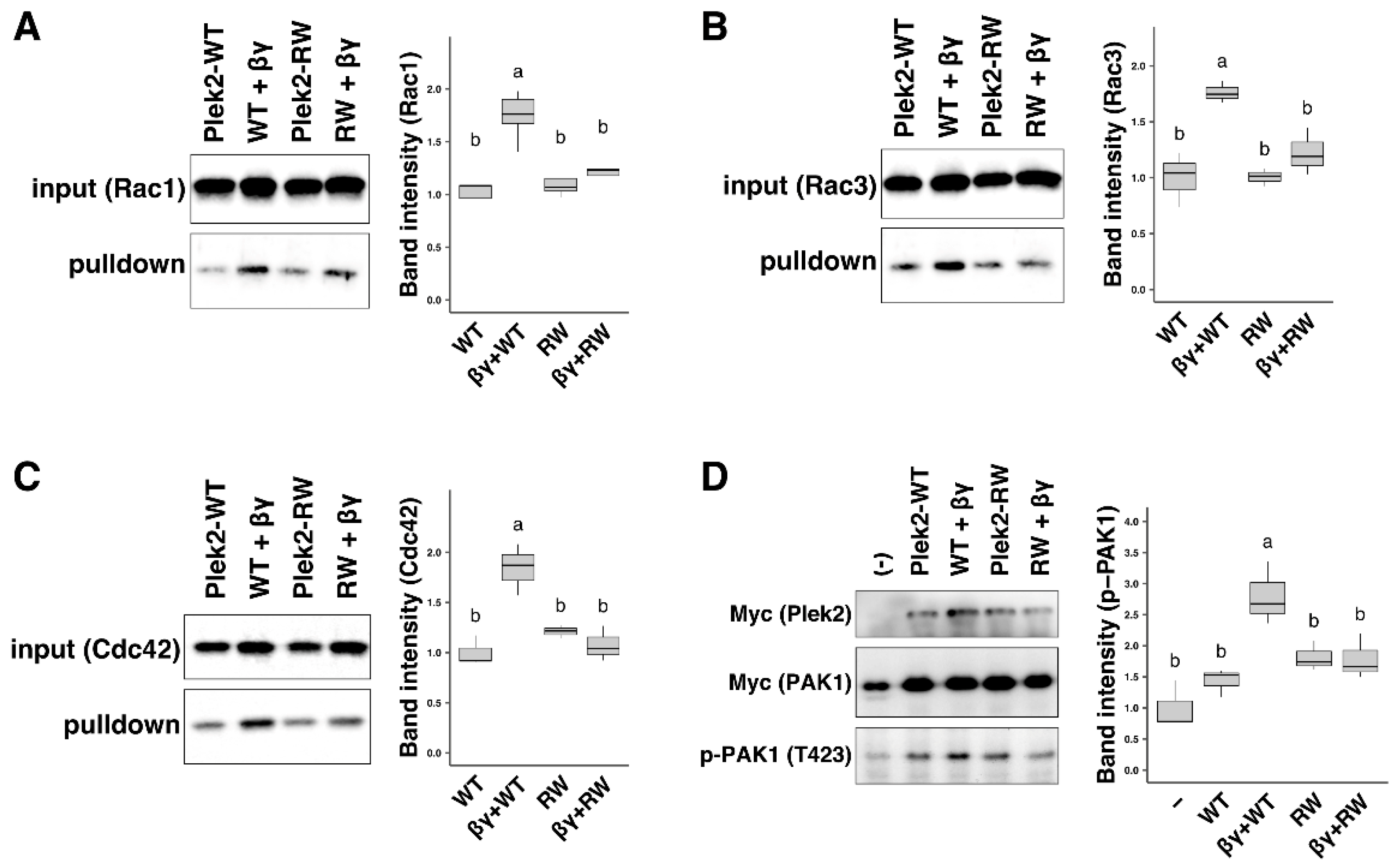 Cells 11 00696 g001 550