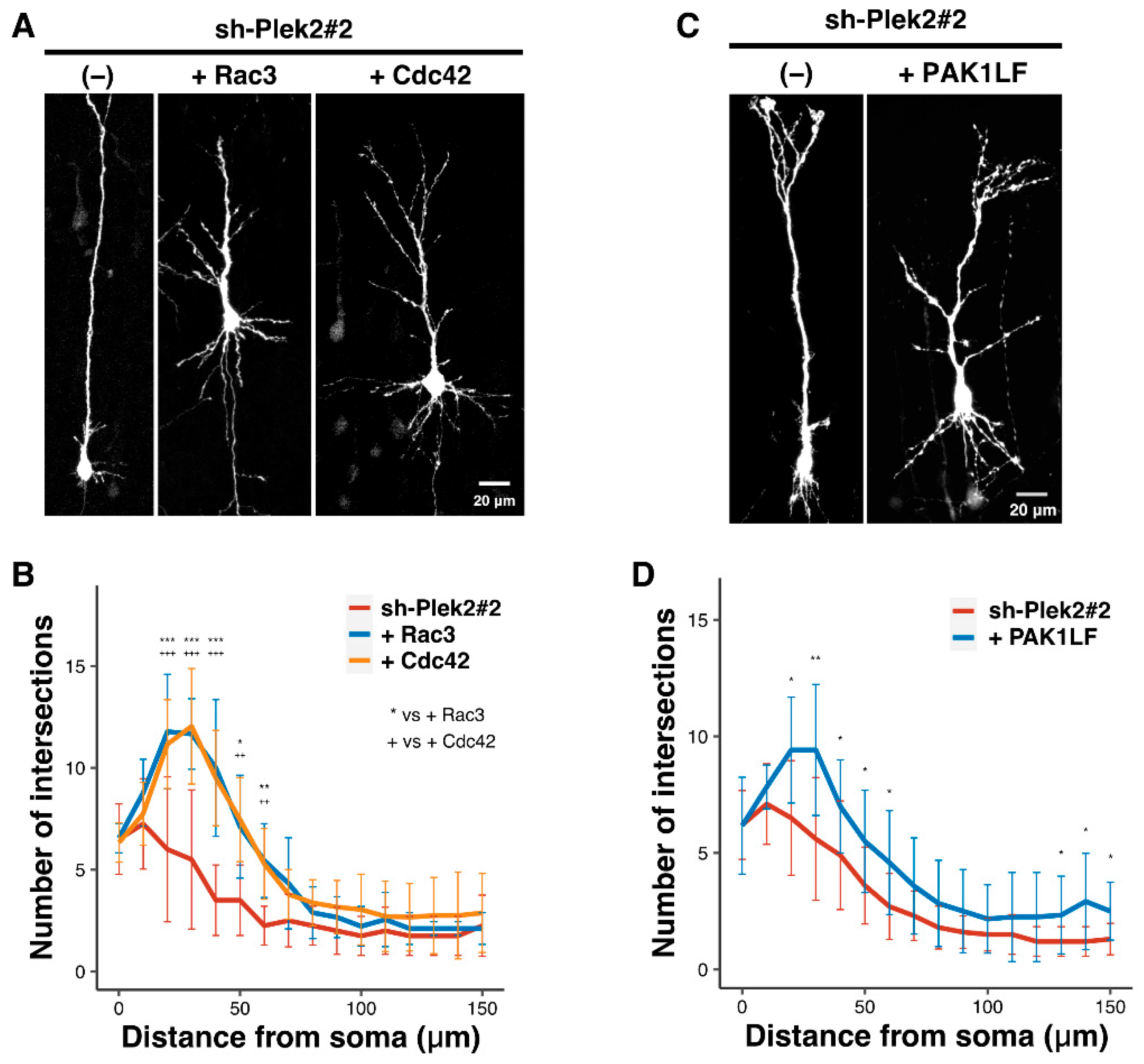 Cells 11 00696 g003 550