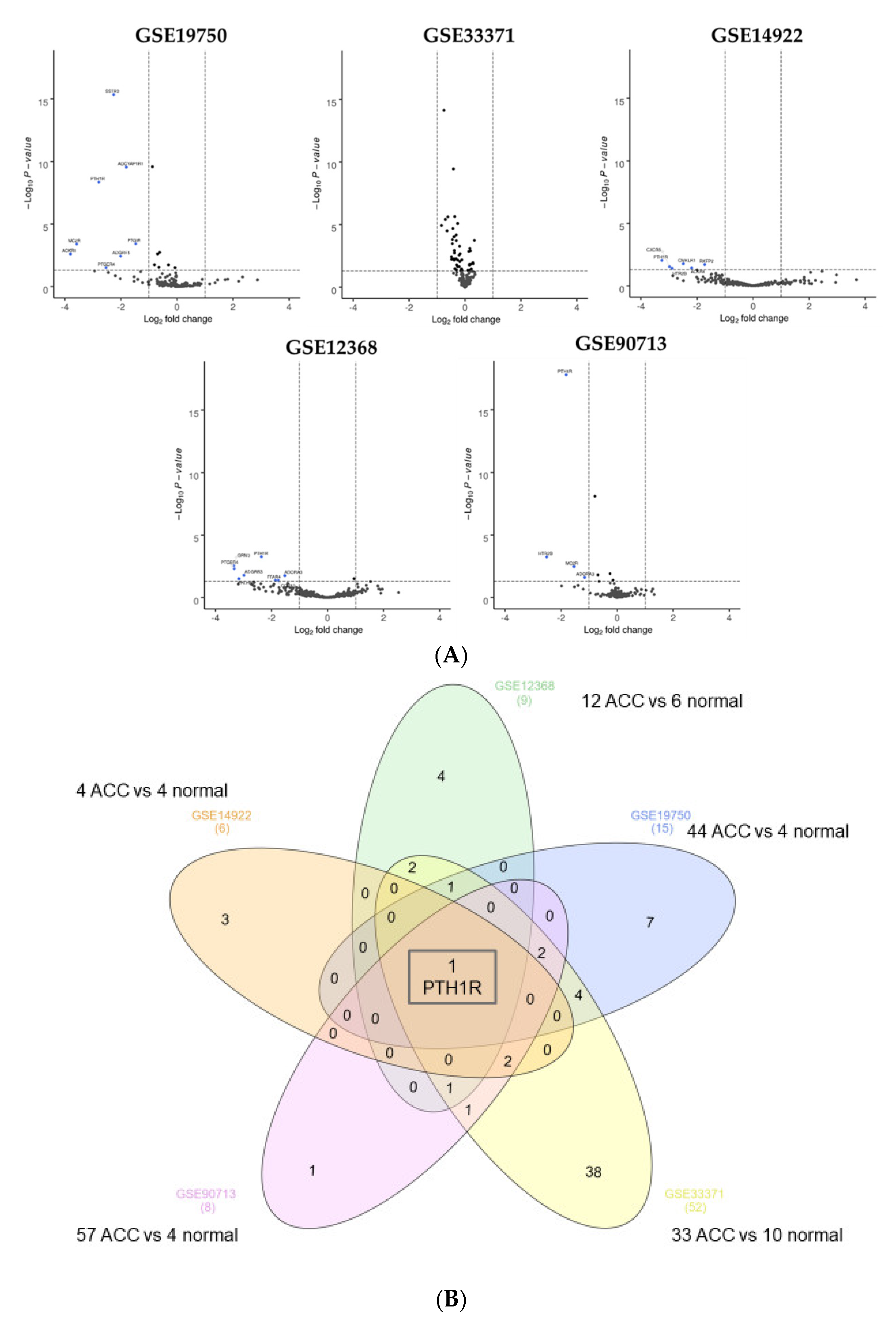 Cells 11 00703 g004 Cells 11 00703 g004