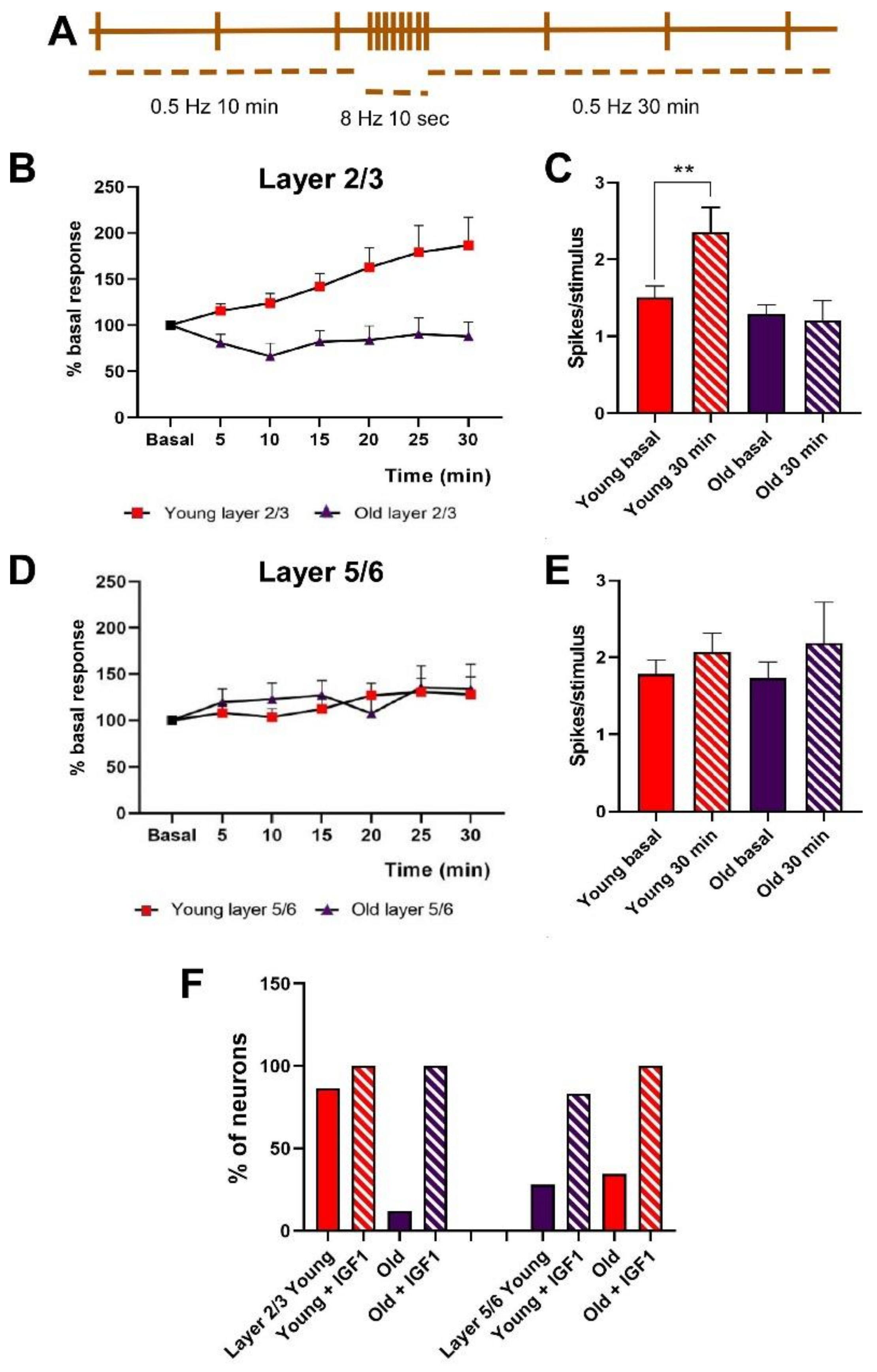 Cells 11 00717 g002 Cells 11 00717 g002
