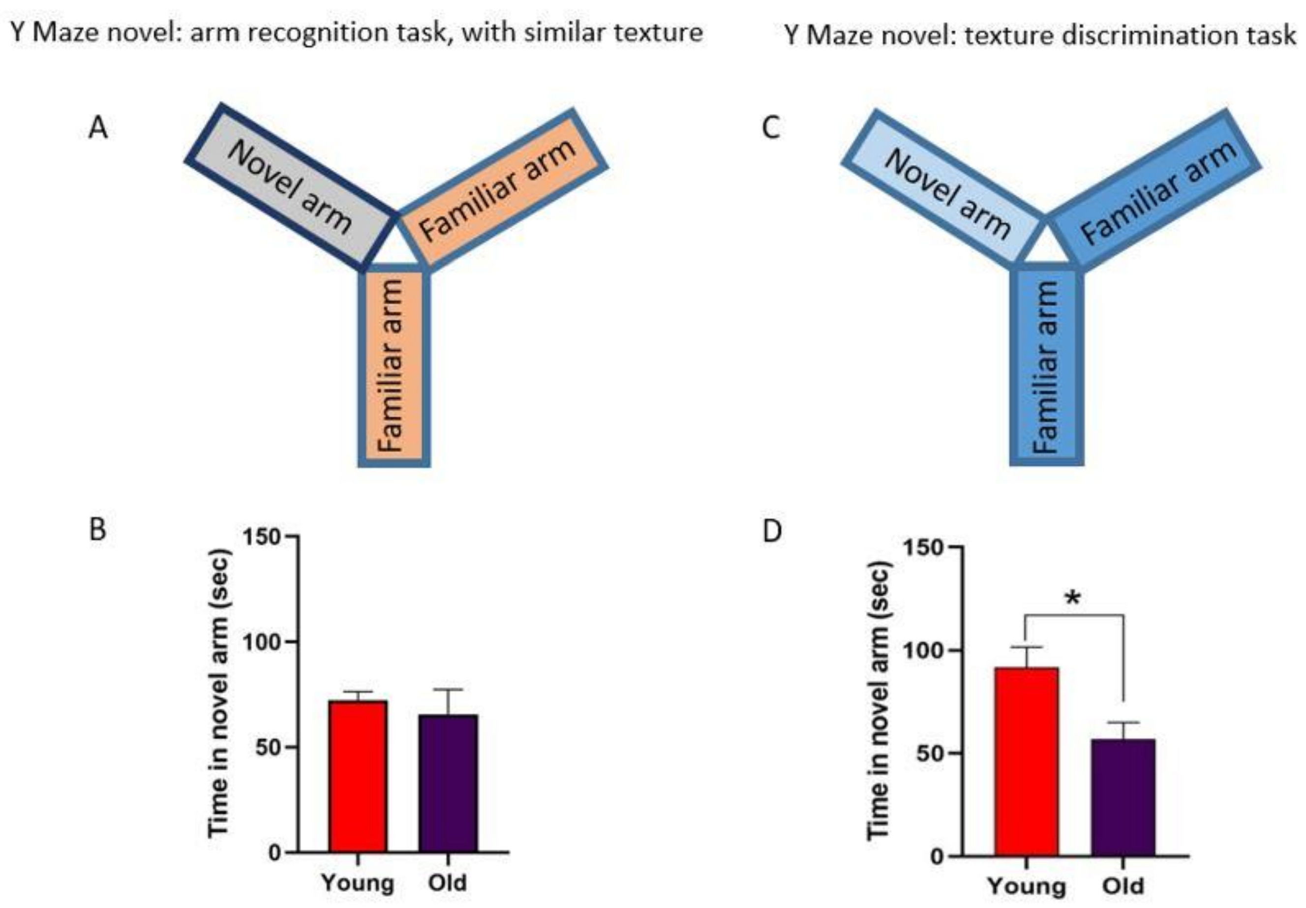 Cells 11 00717 g005 Cells 11 00717 g005