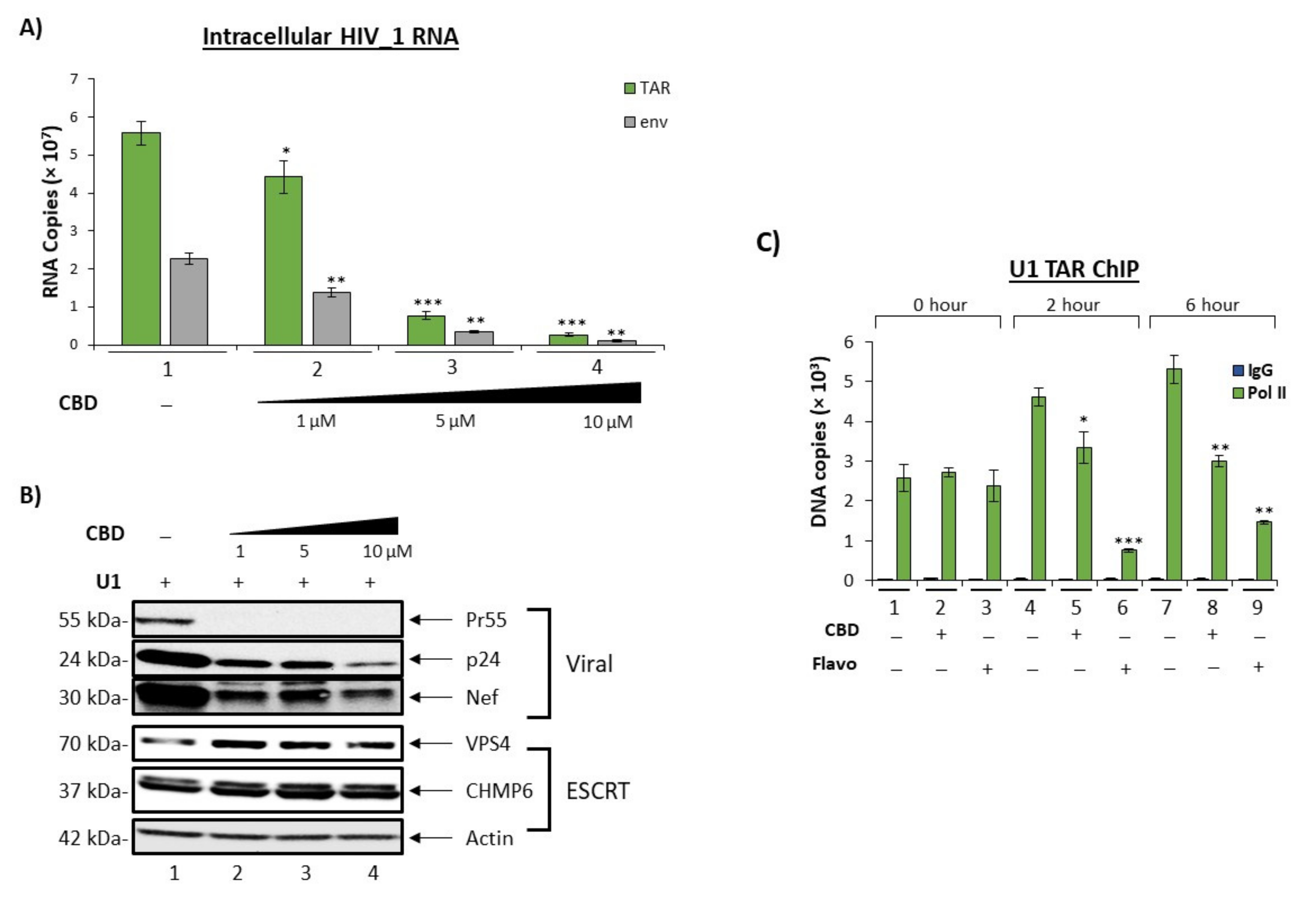 Cells 11 00723 g004