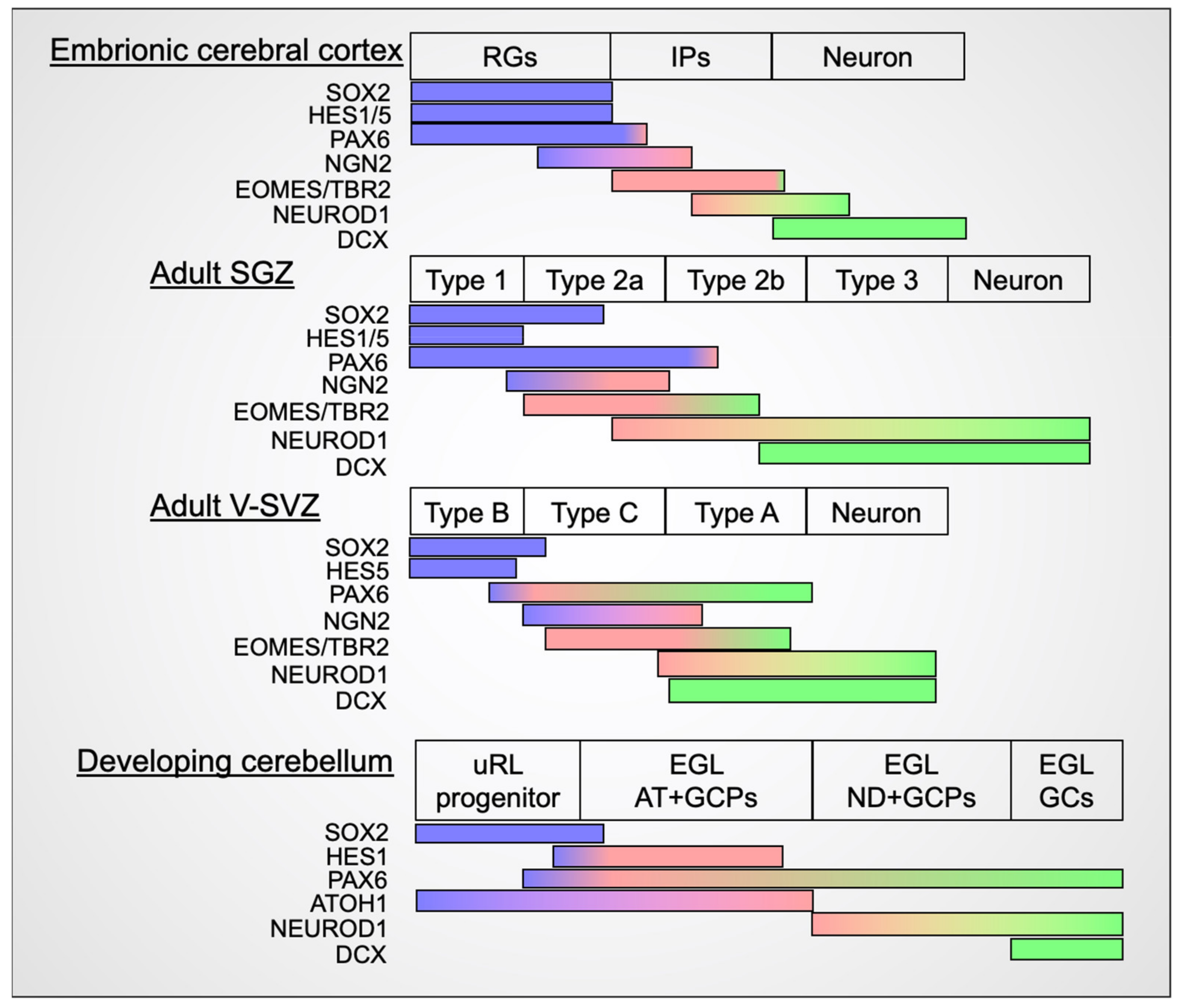 Cells 11 00726 g005 550