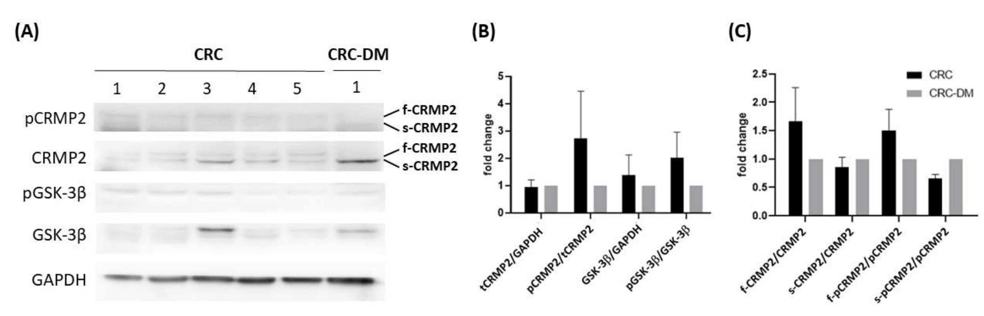 Cells 11 00727 g002 Cells 11 00727 g002
