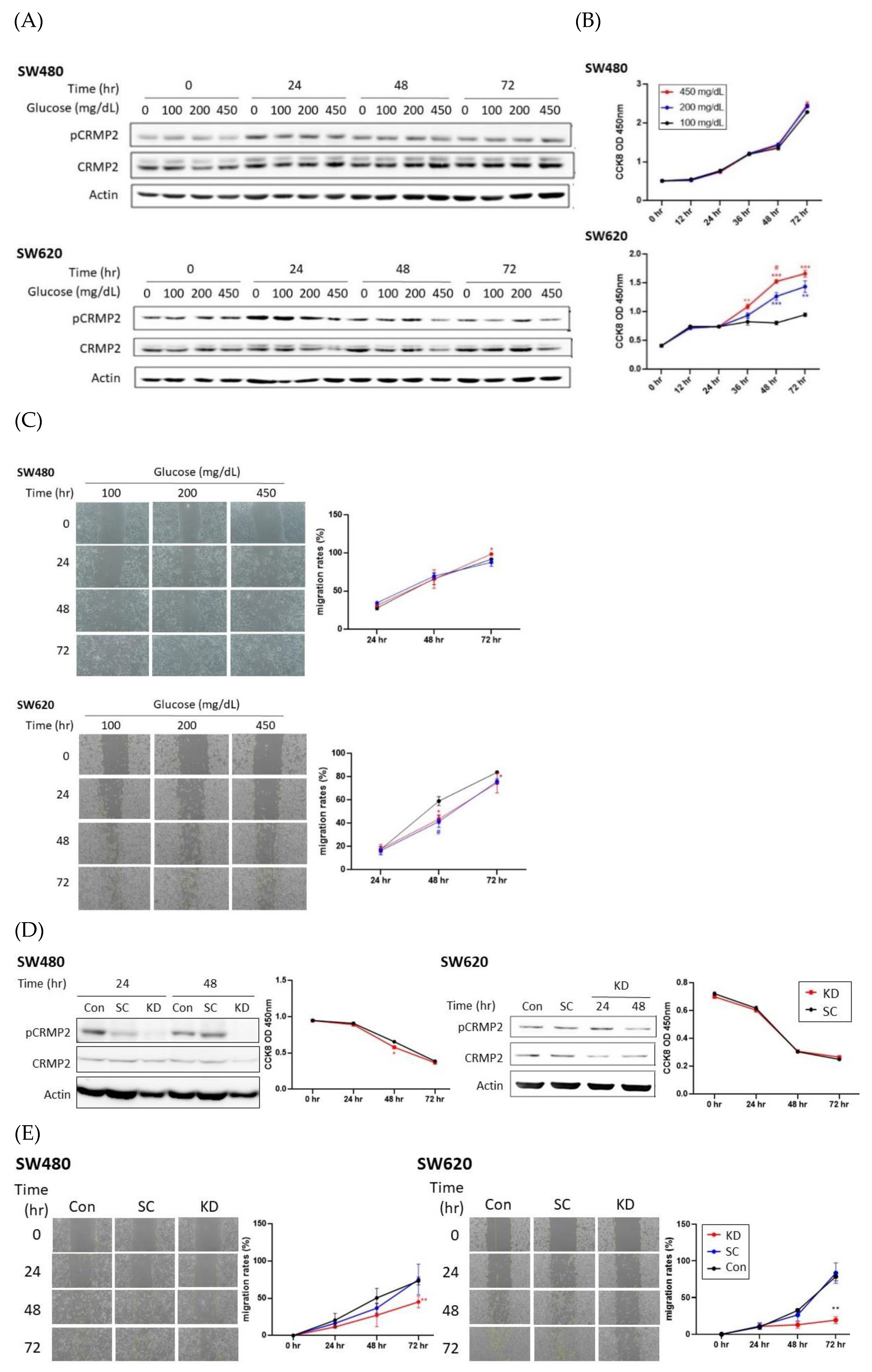 Cells 11 00727 g003 Cells 11 00727 g003