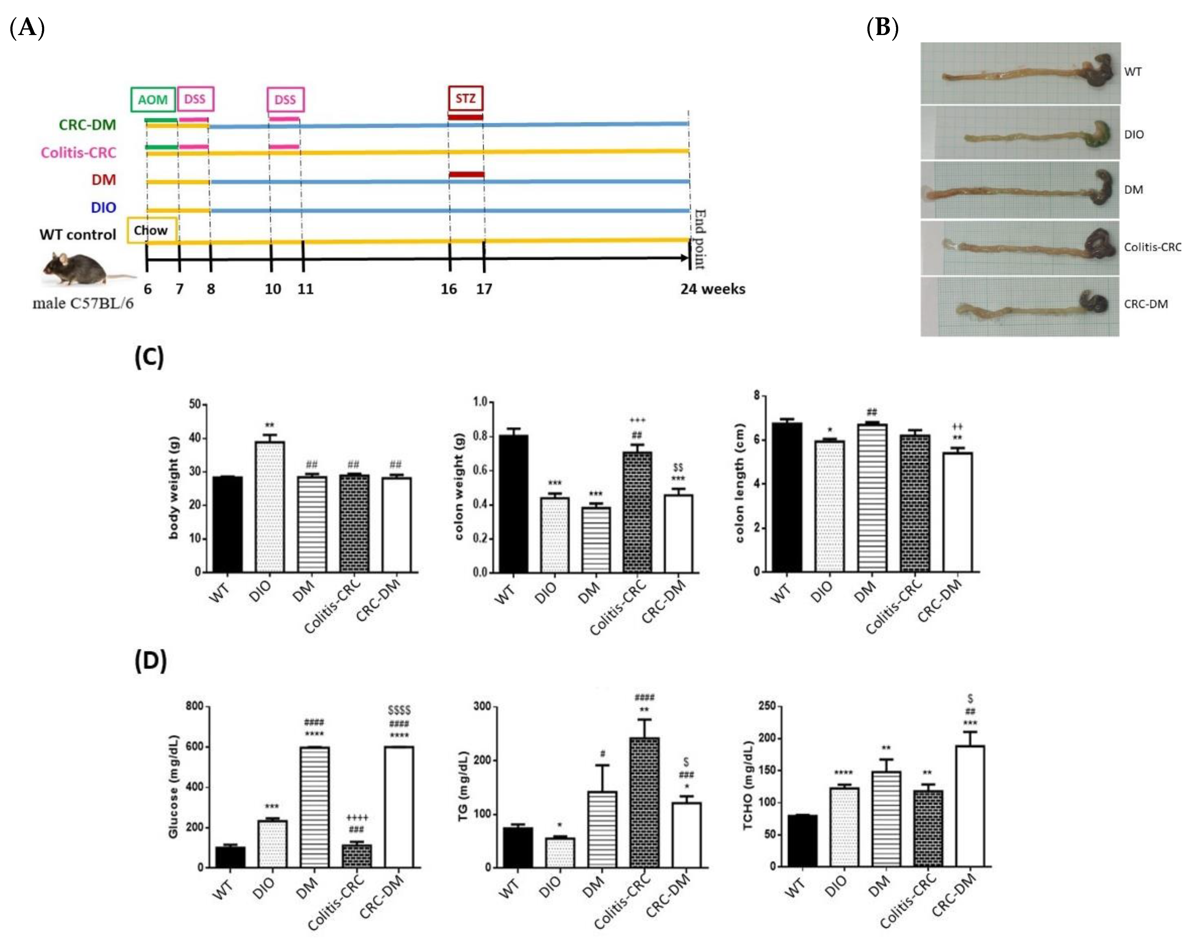 Cells 11 00727 g005 Cells 11 00727 g005