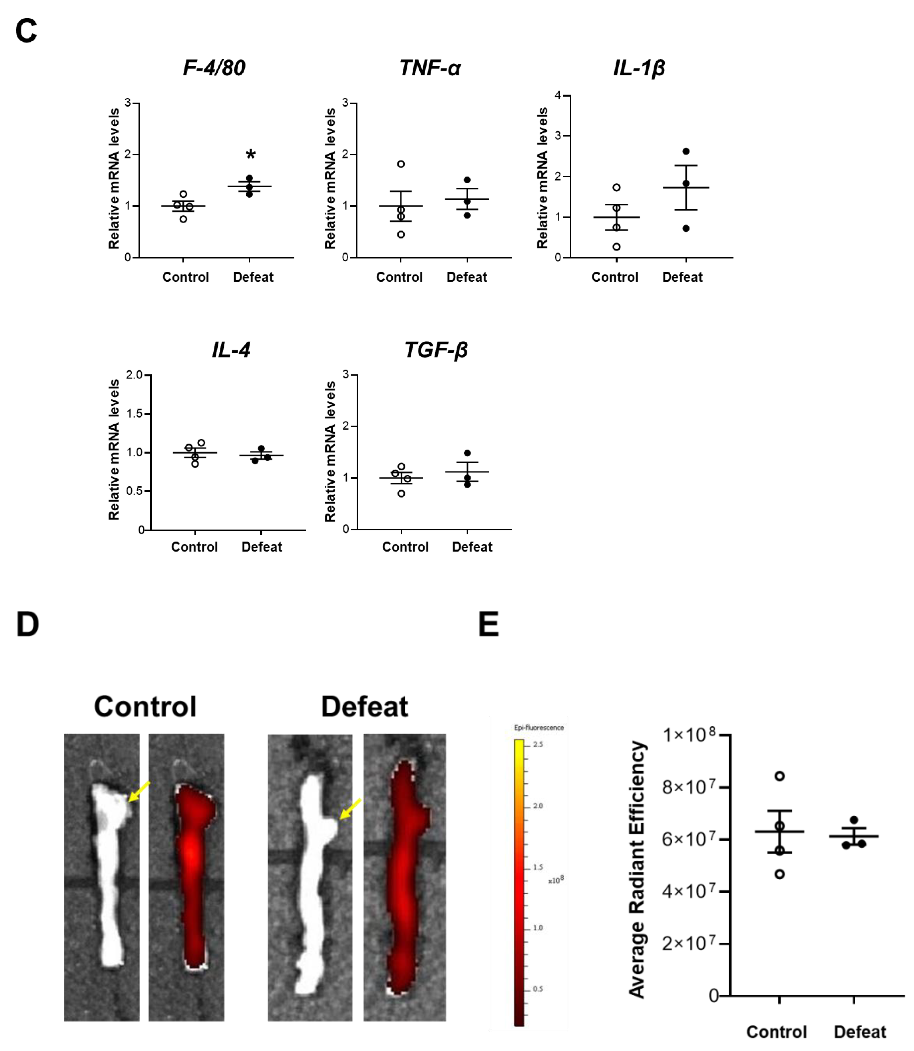 Cells 11 00732 g002b 550