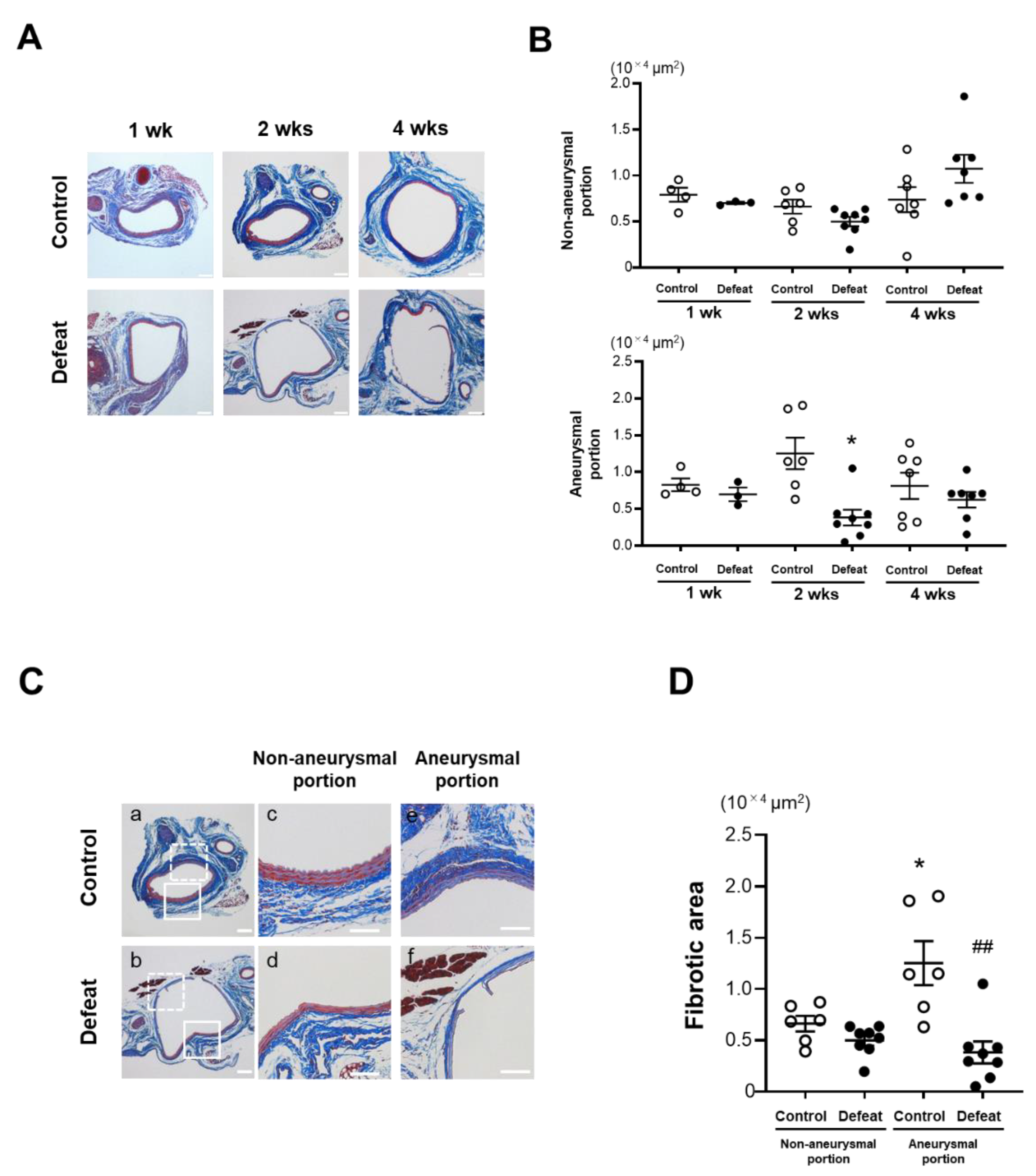 Cells 11 00732 g003a 550