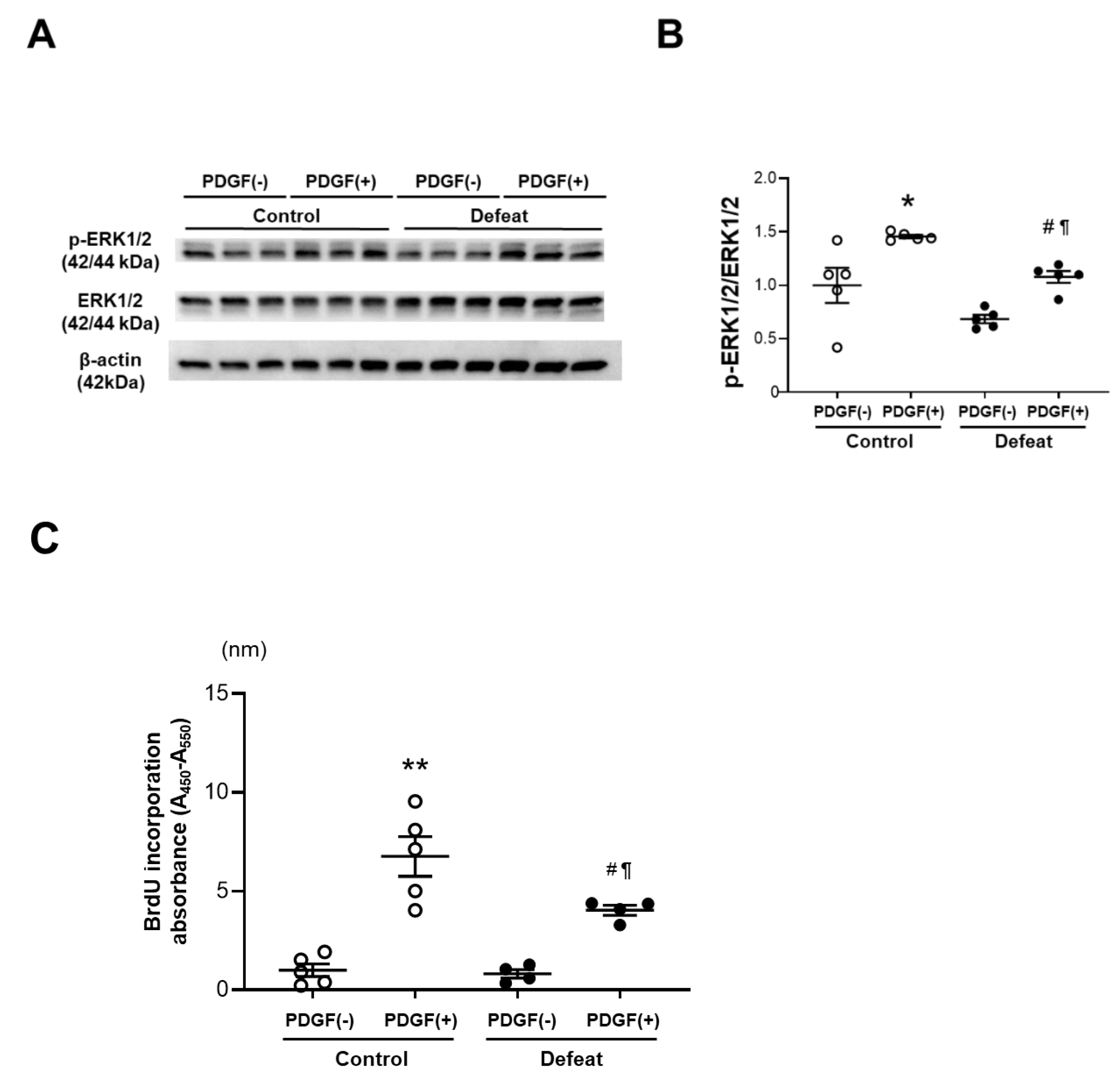 Cells 11 00732 g004 550