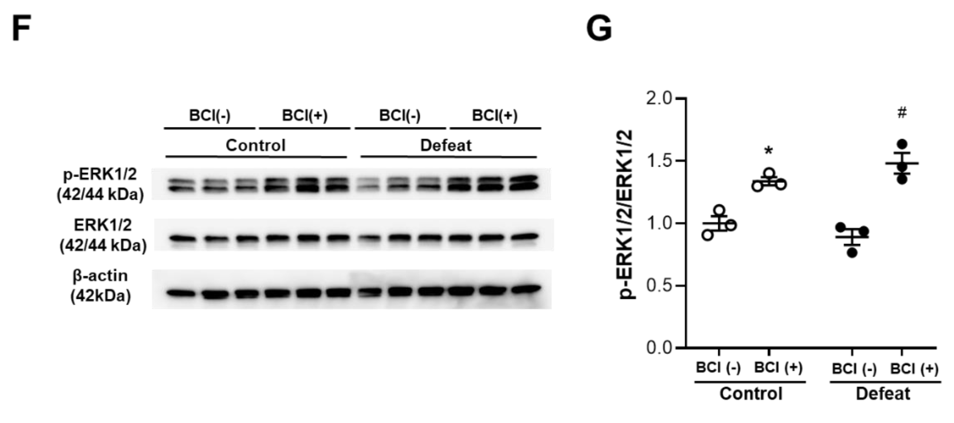 Cells 11 00732 g005b 550
