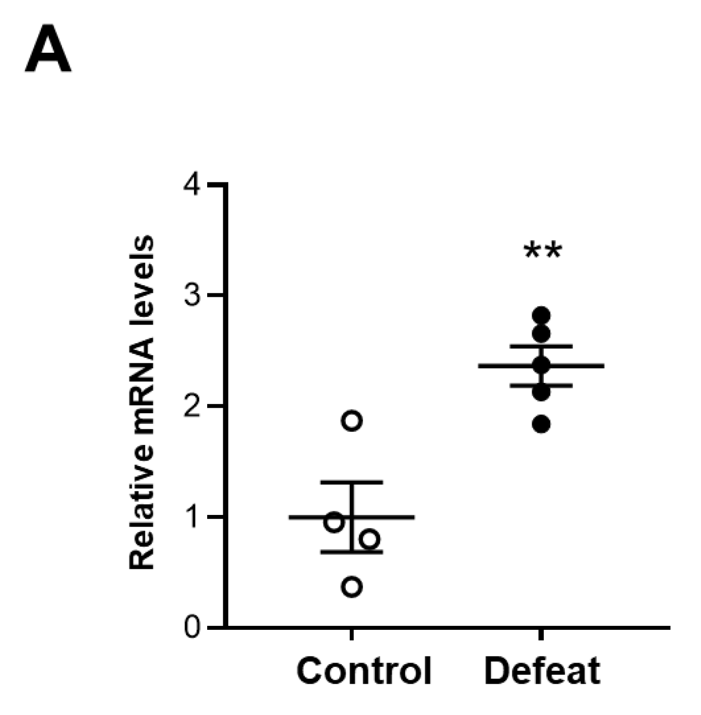 Cells 11 00732 g006a 550