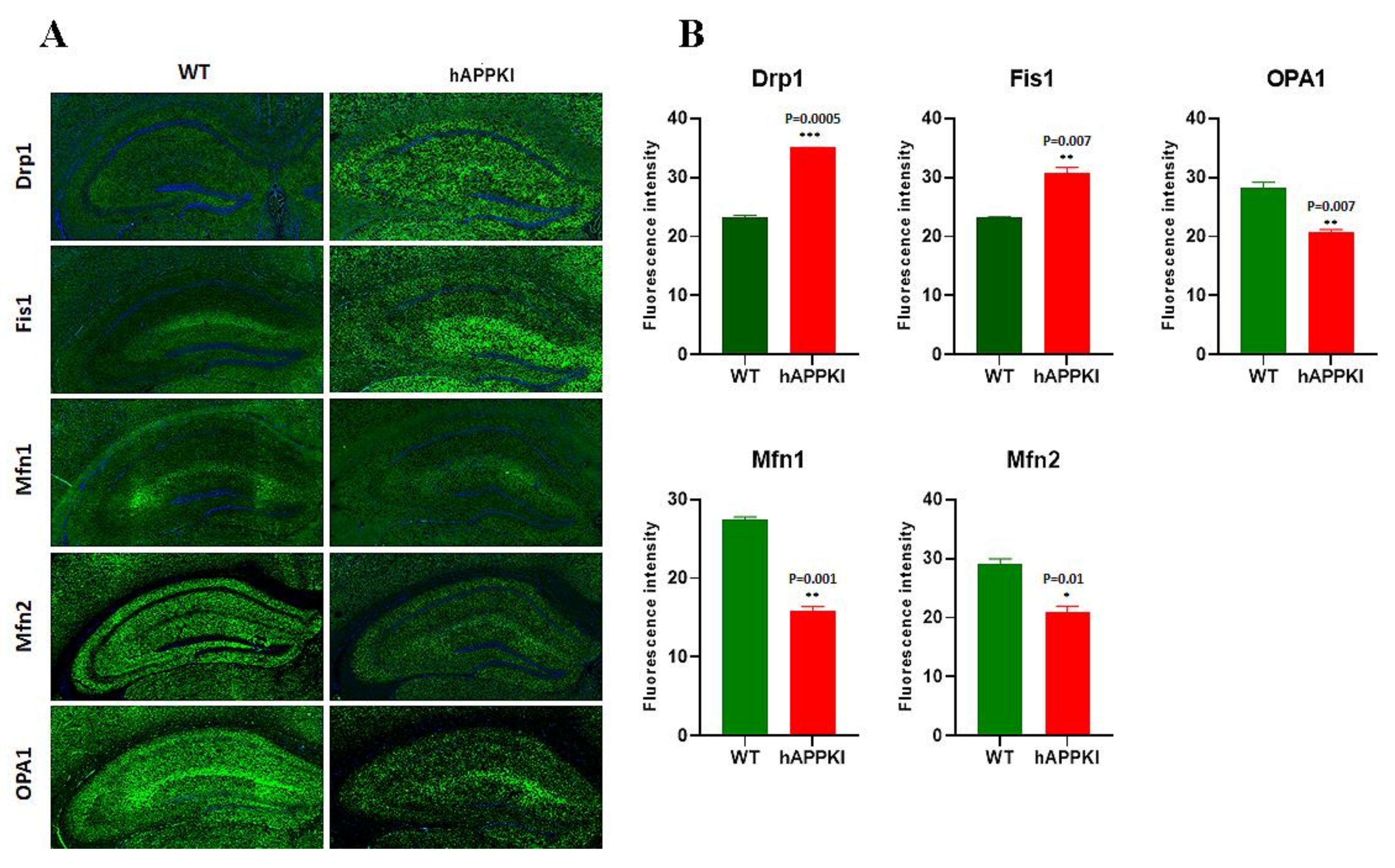 Cells 11 00733 g004 550