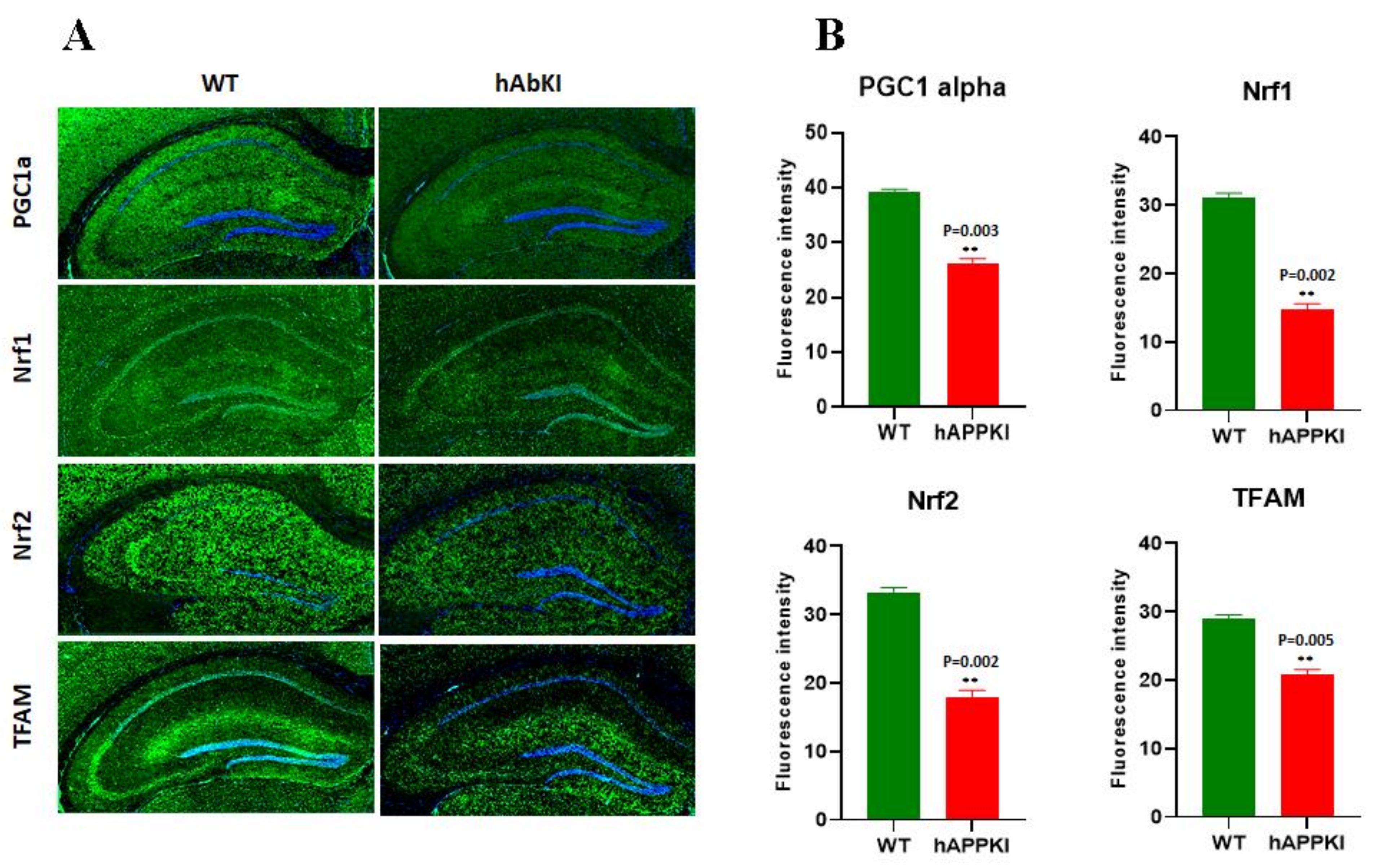 Cells 11 00733 g005 550