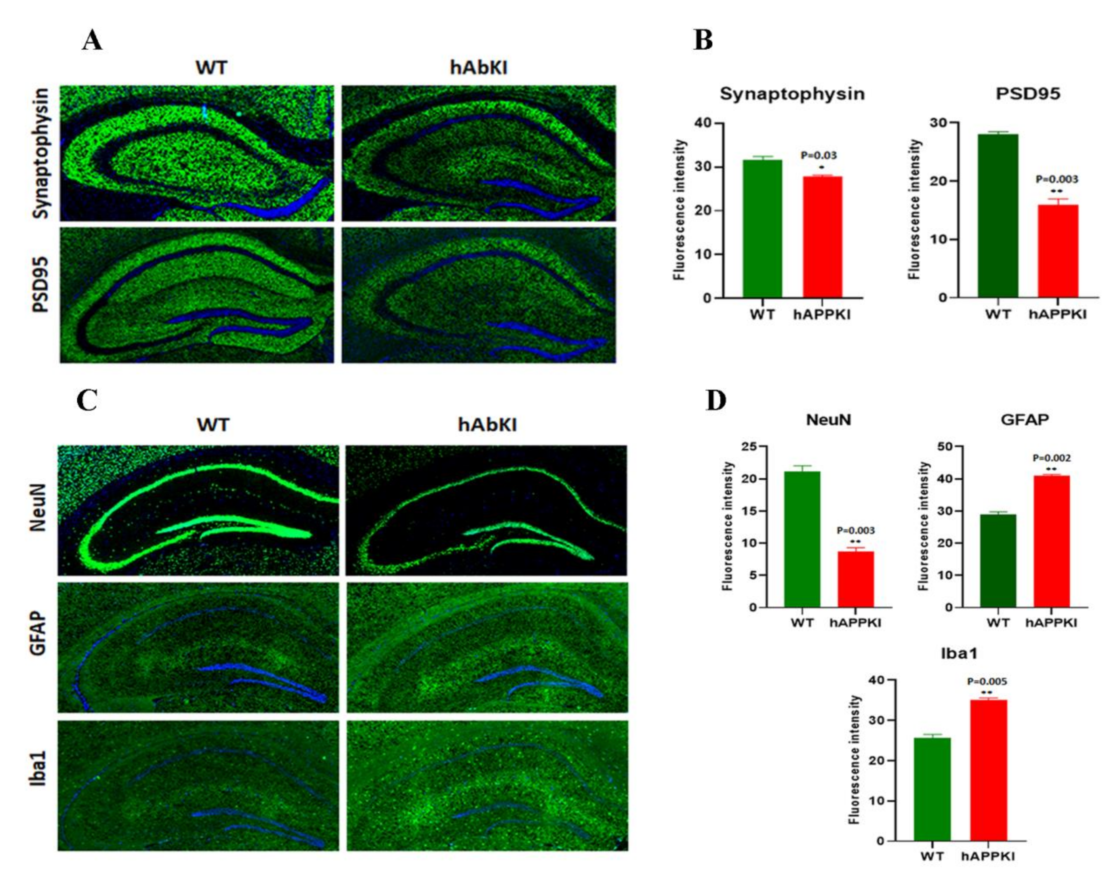 Cells 11 00733 g007 550