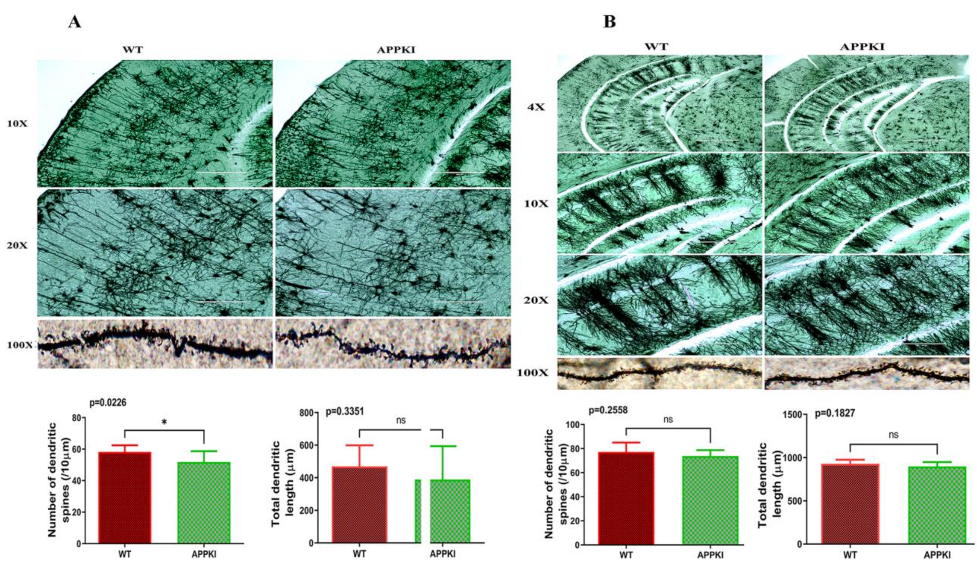Cells 11 00733 g008 550