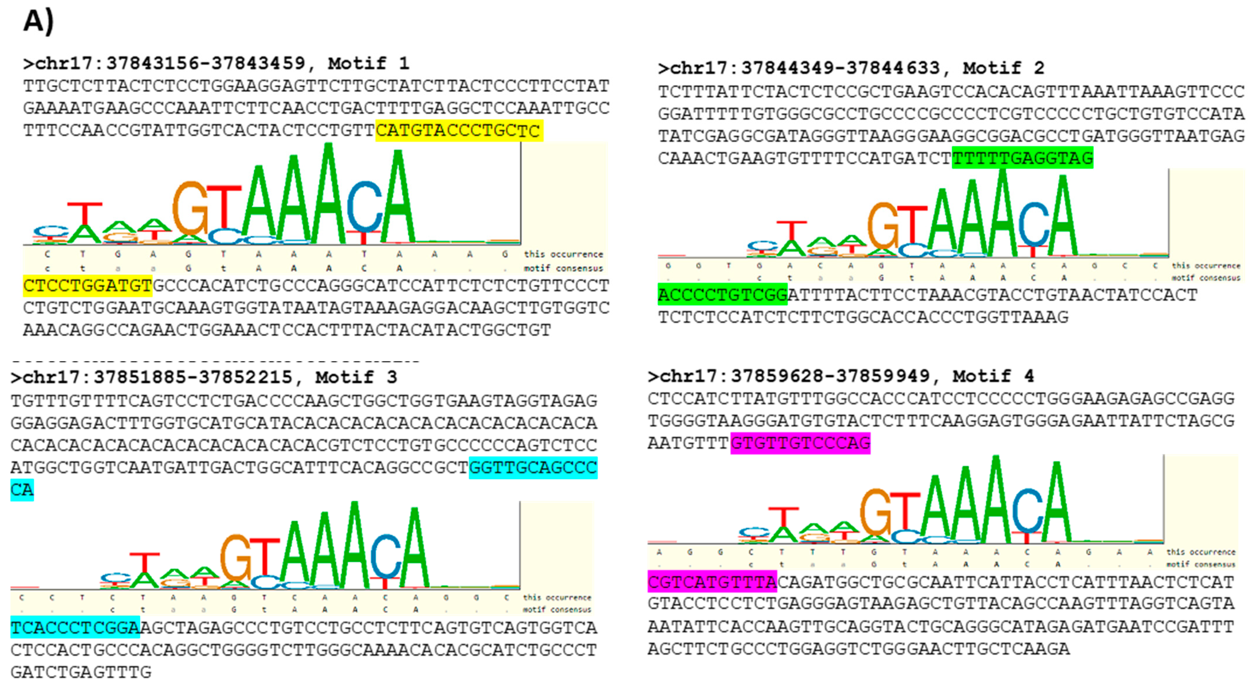 Cells 11 00735 g005a