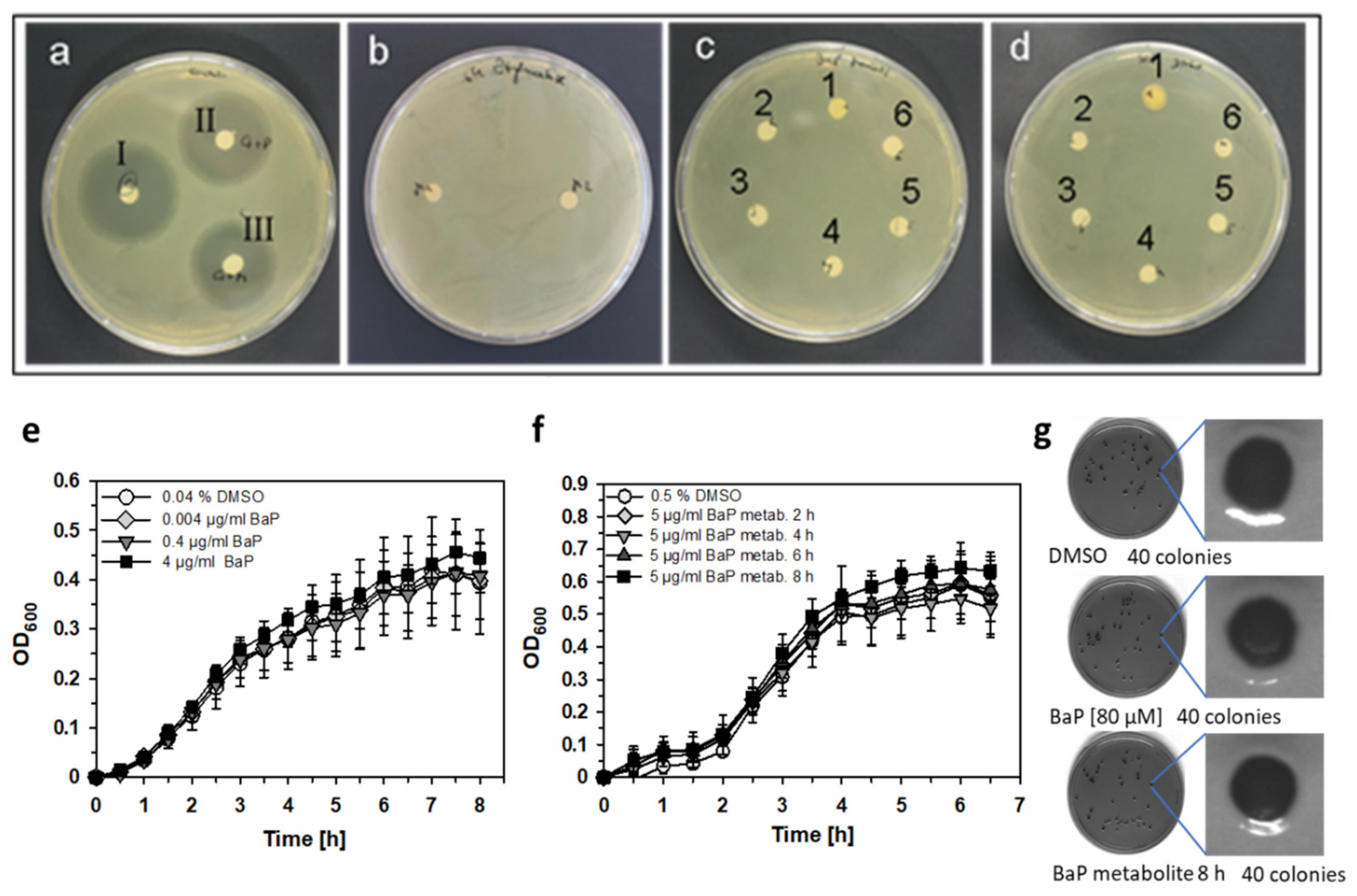 Cells 11 00737 g005 550