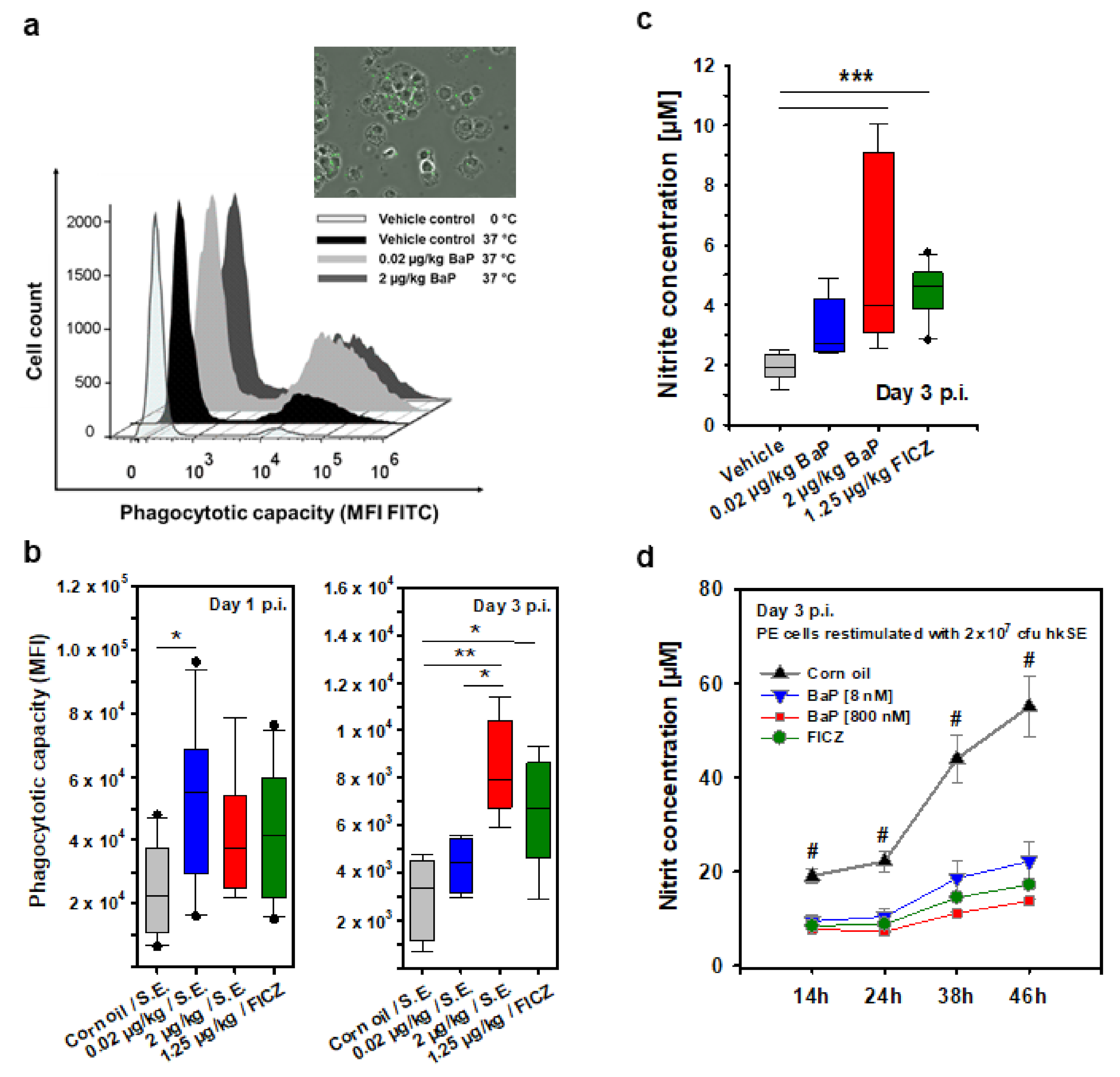 Cells 11 00737 g008 550