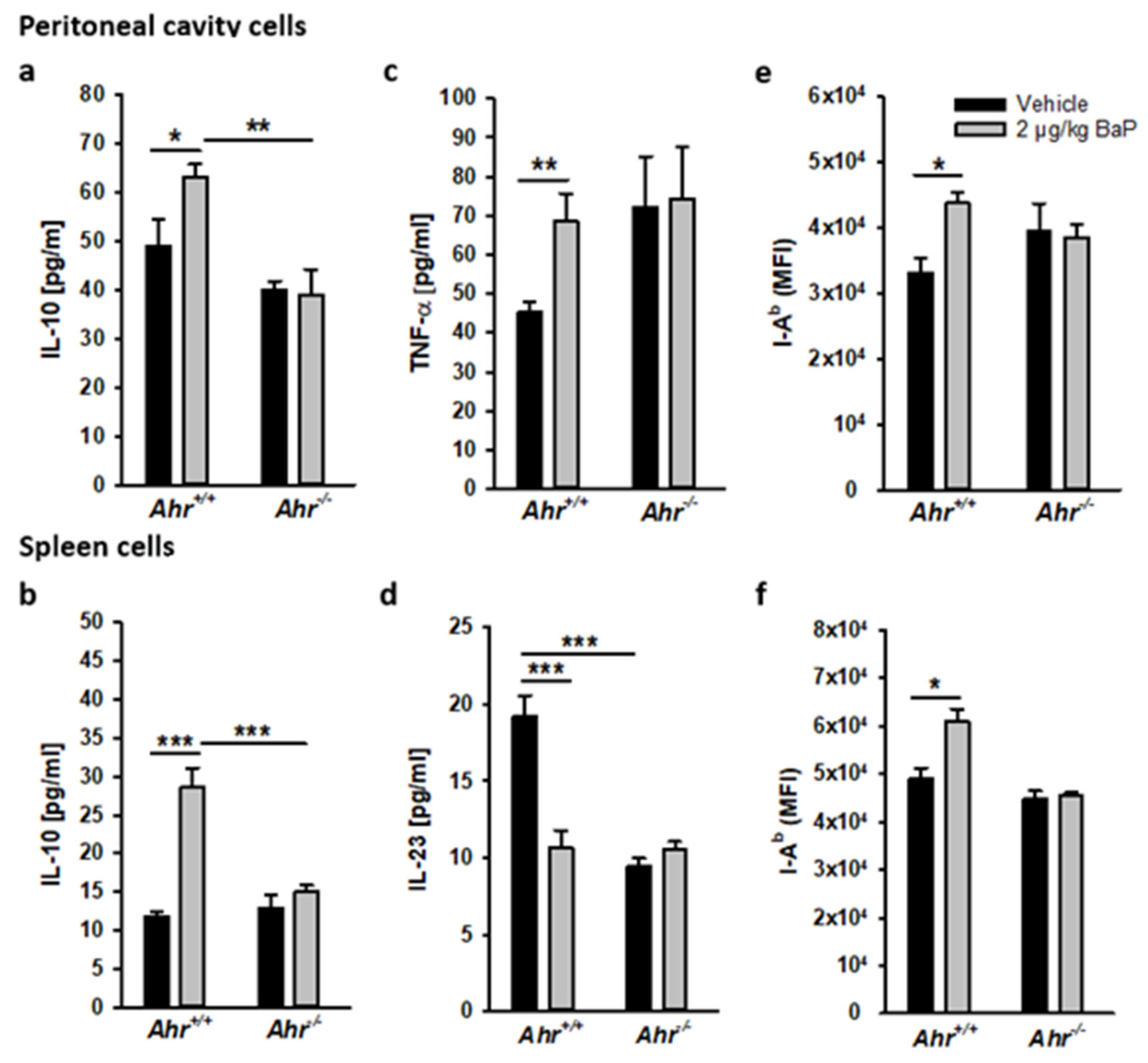 Cells 11 00737 g011 550