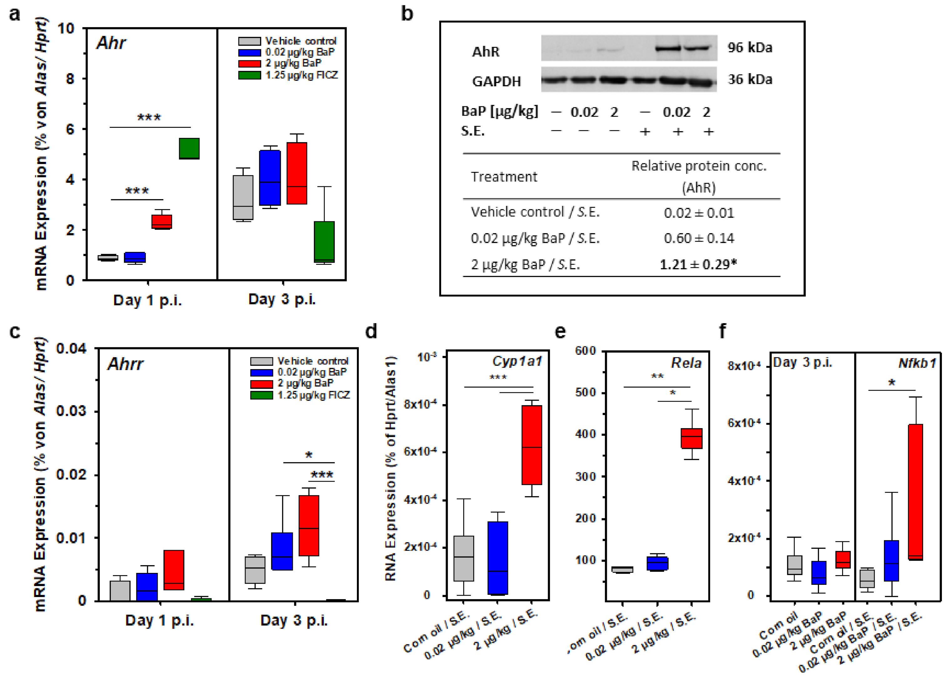 Cells 11 00737 g012 550