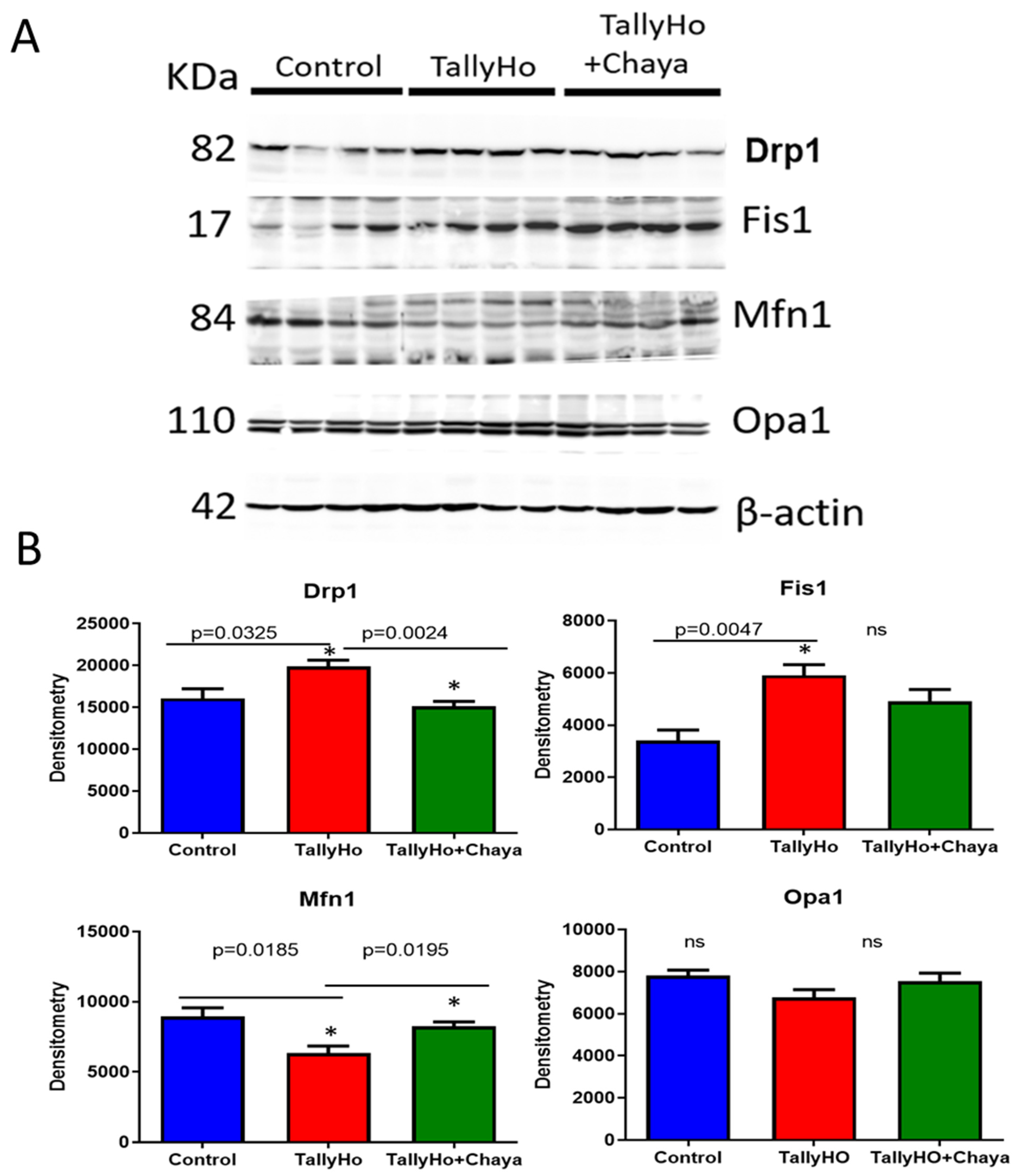 Cells 11 00744 g003 550