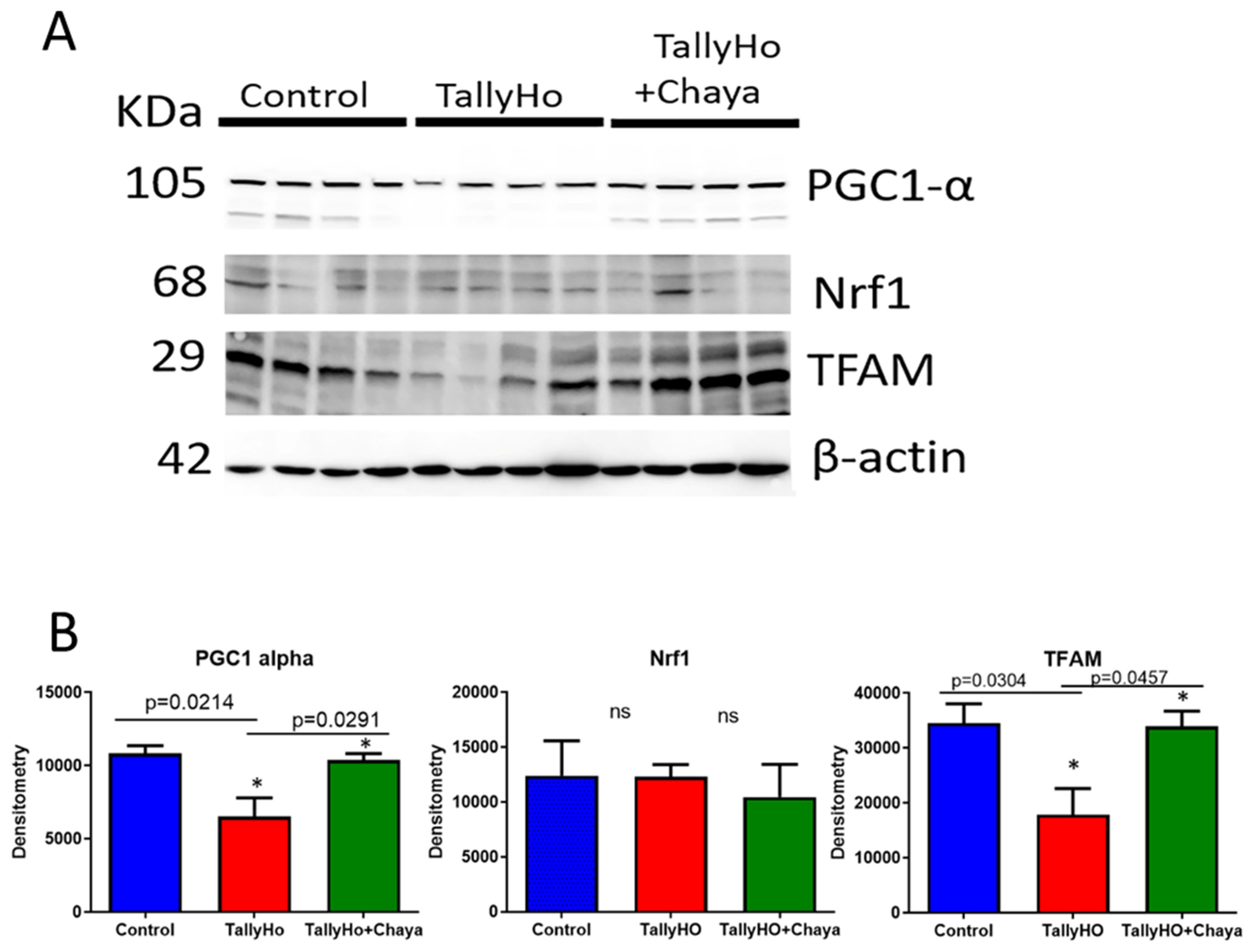 Cells 11 00744 g004 550