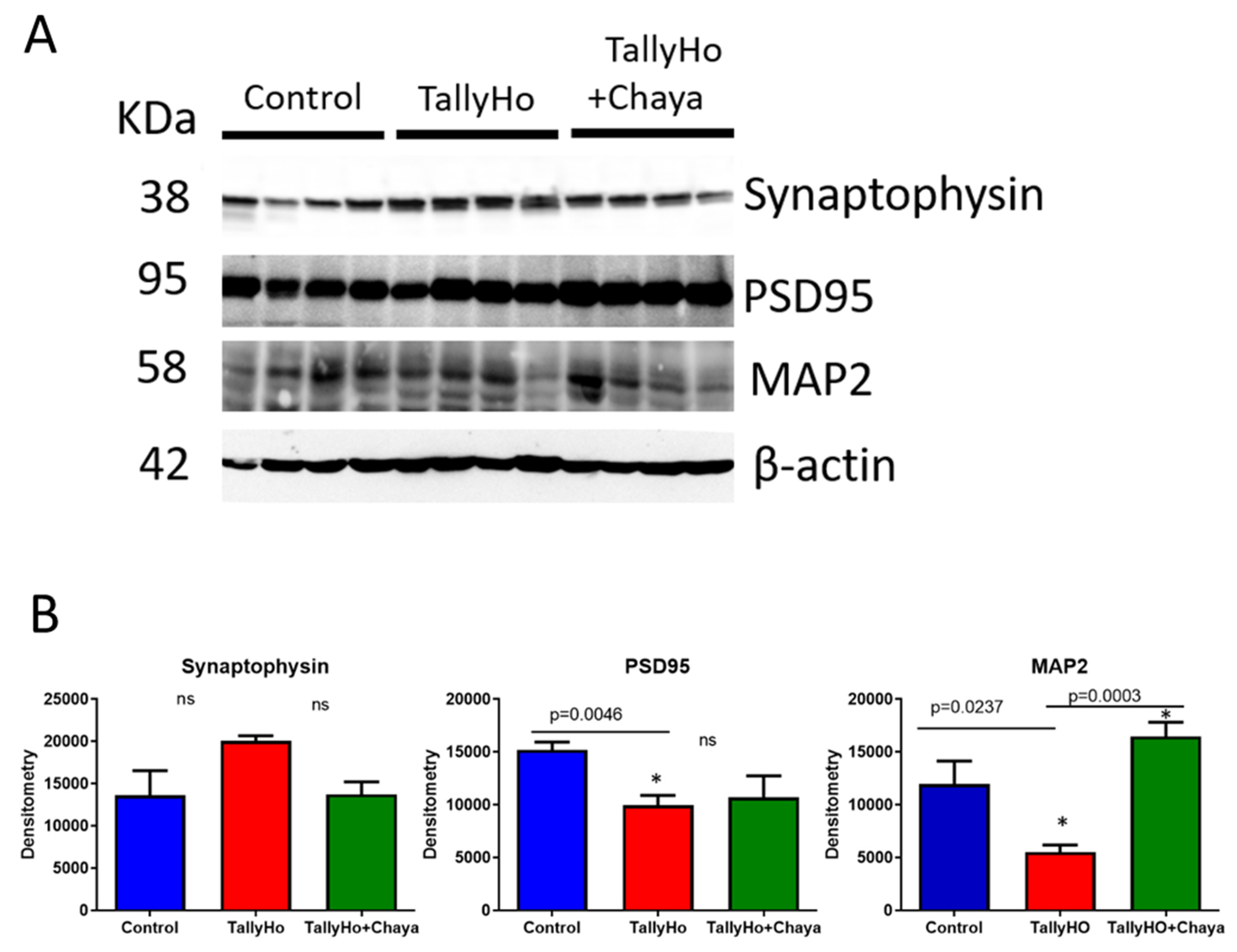 Cells 11 00744 g006 550