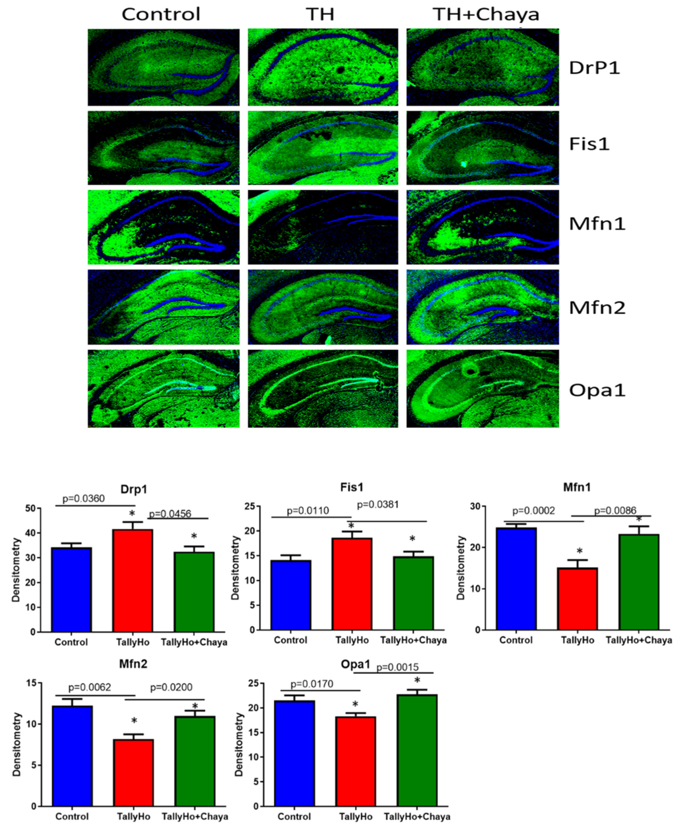 Cells 11 00744 g007 550