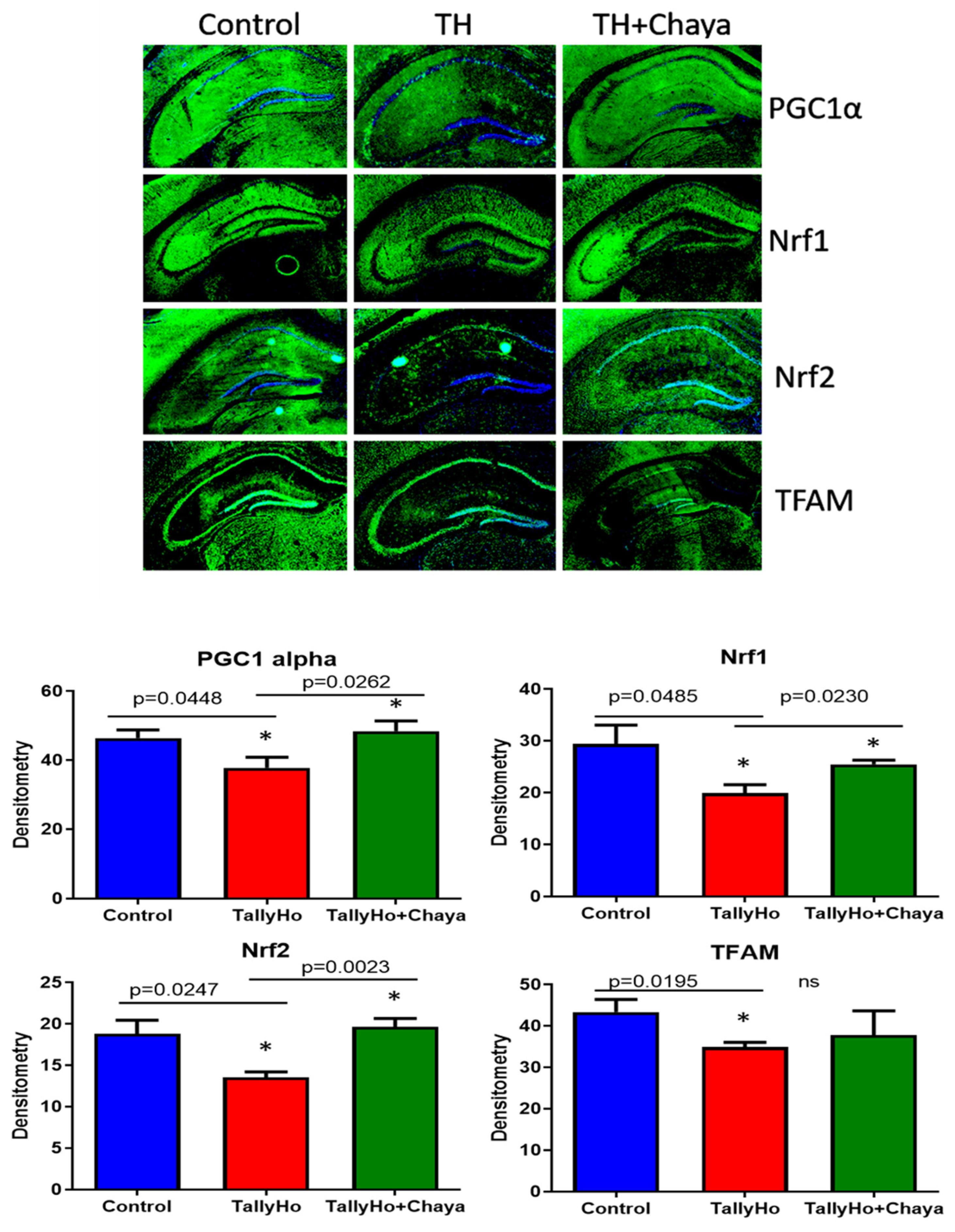 Cells 11 00744 g008 550