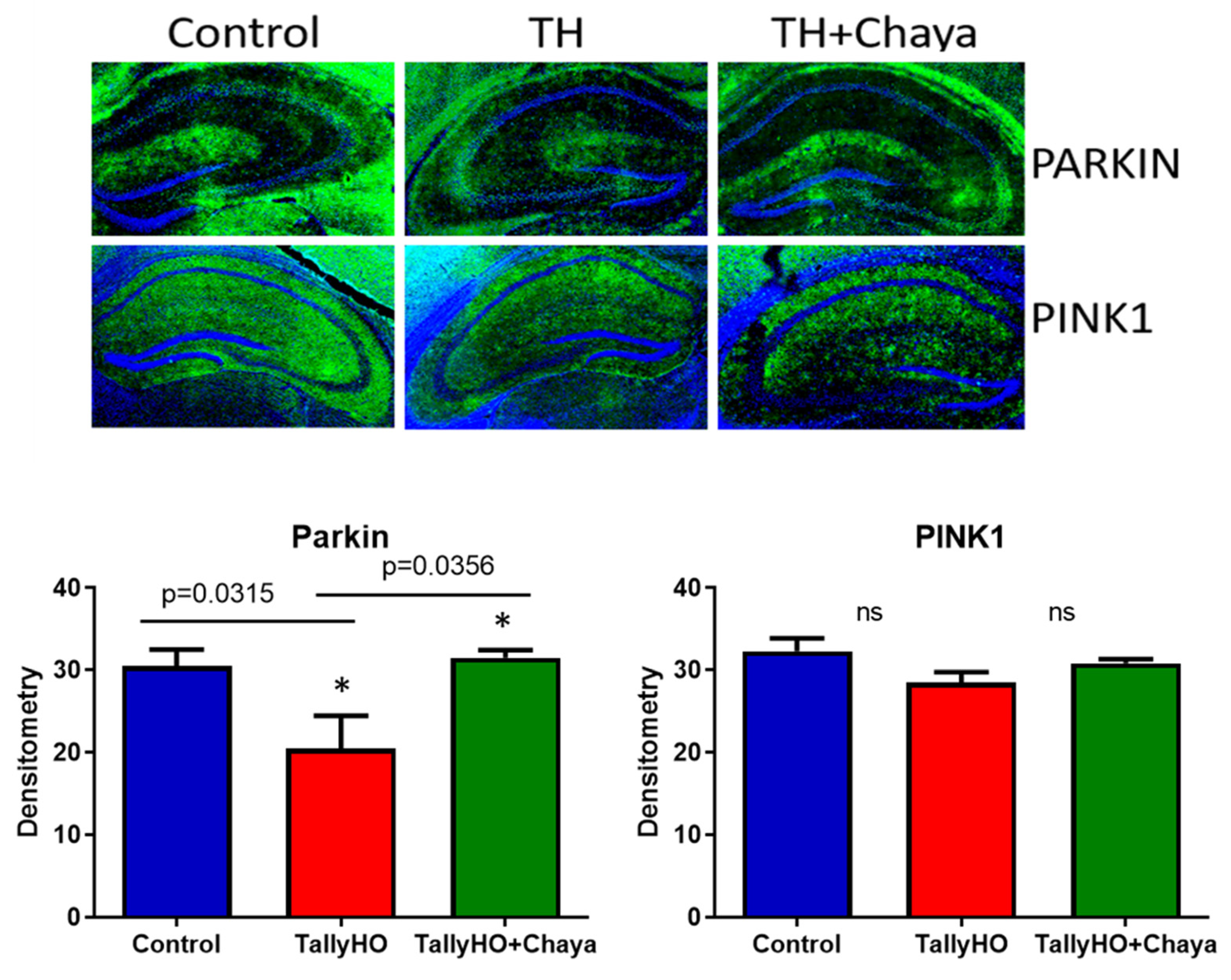 Cells 11 00744 g009 550