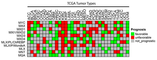 Normal and Neoplastic Growth Suppression by the Extended Myc Network