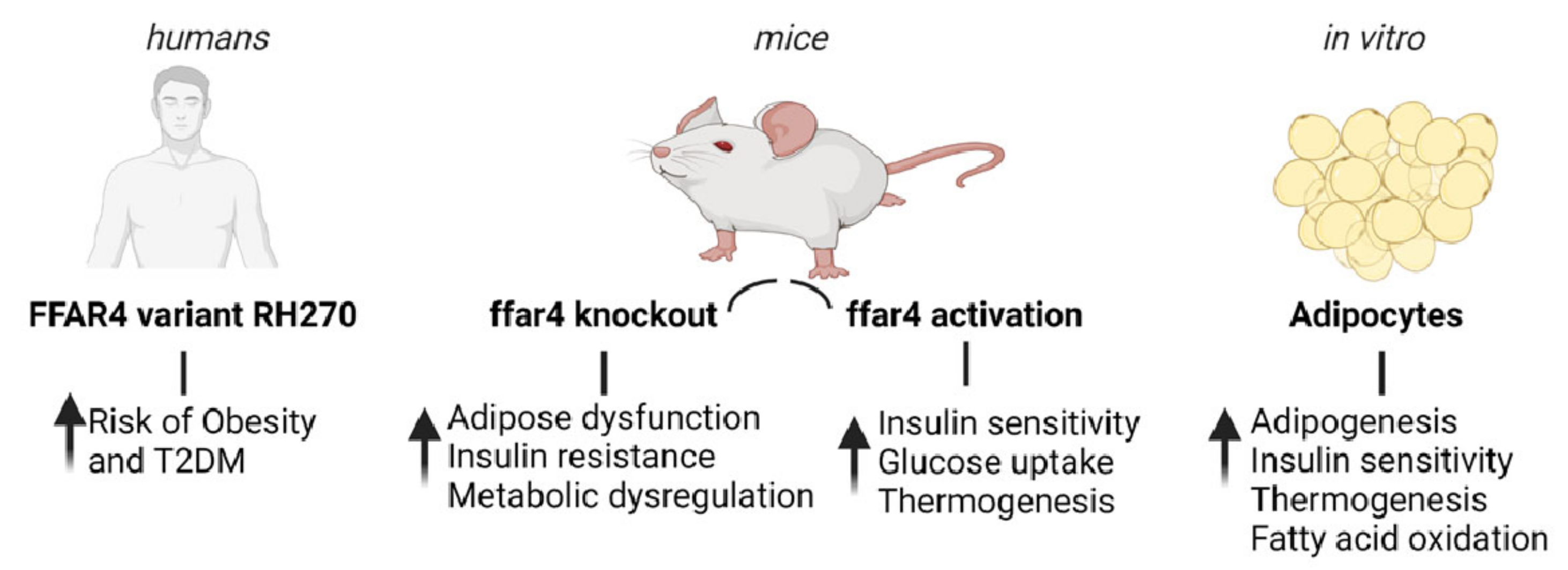 Cells 11 00750 g002 Cells 11 00750 g002