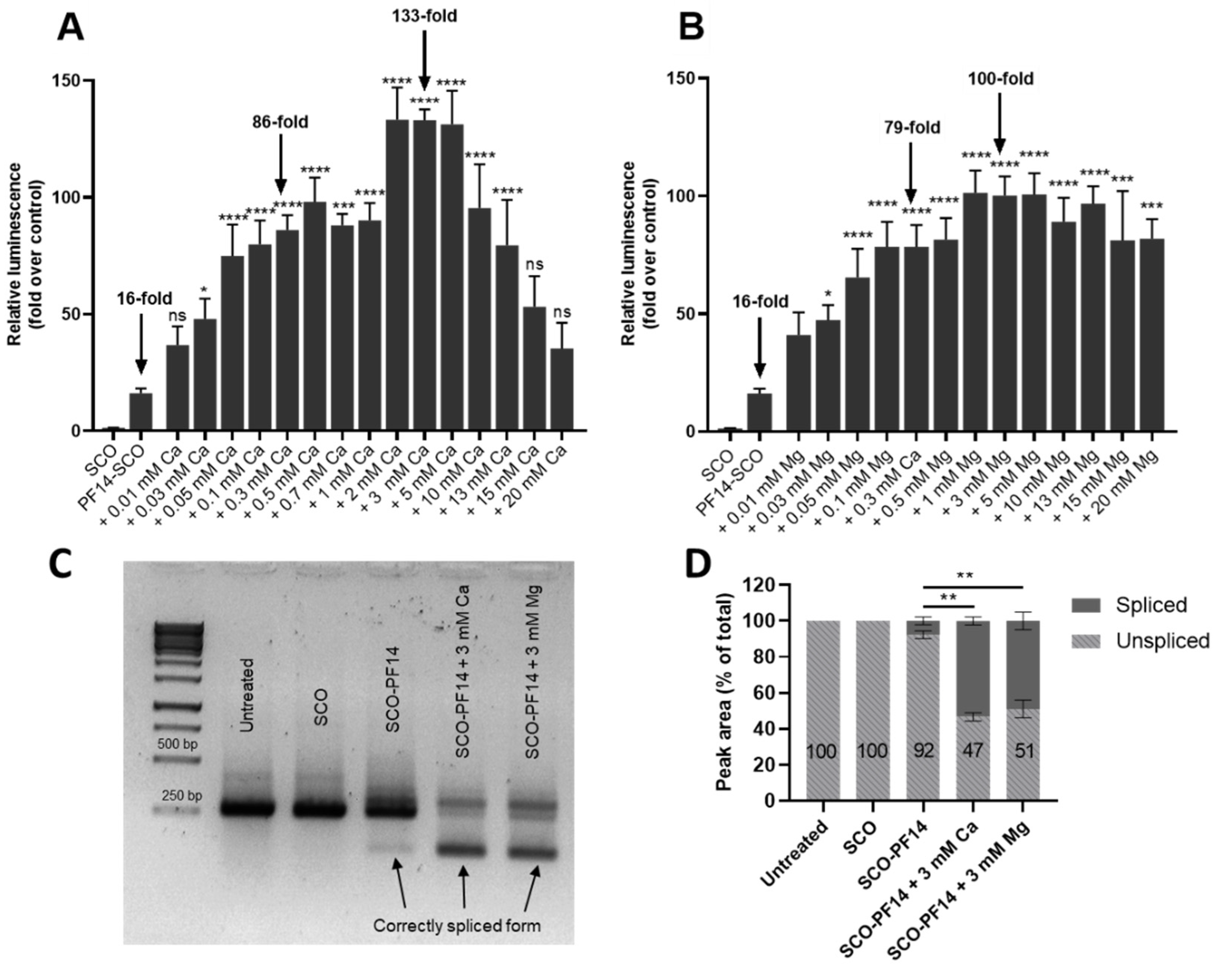 Cells 11 00756 g001 Cells 11 00756 g001