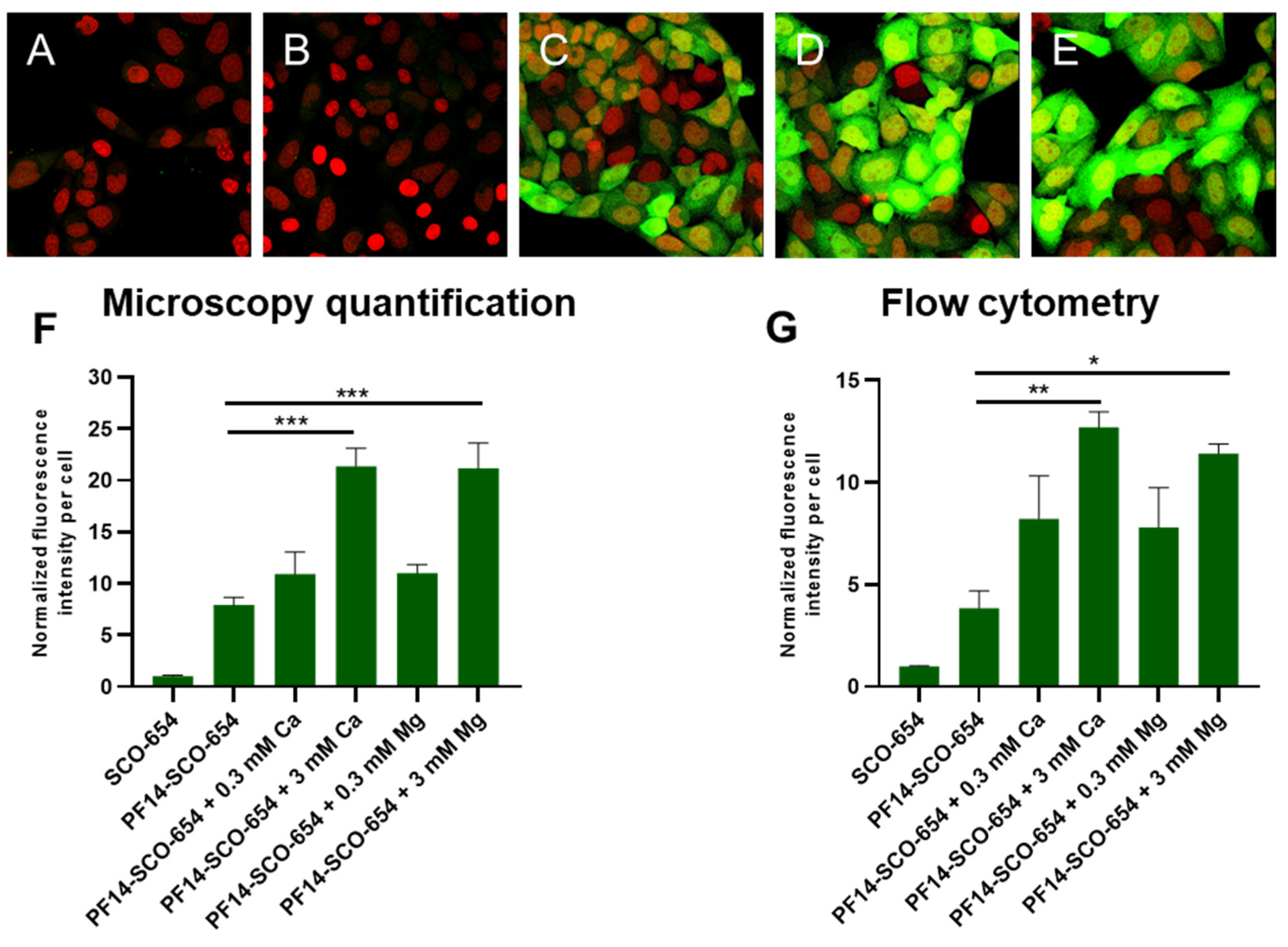 Cells 11 00756 g004 Cells 11 00756 g004