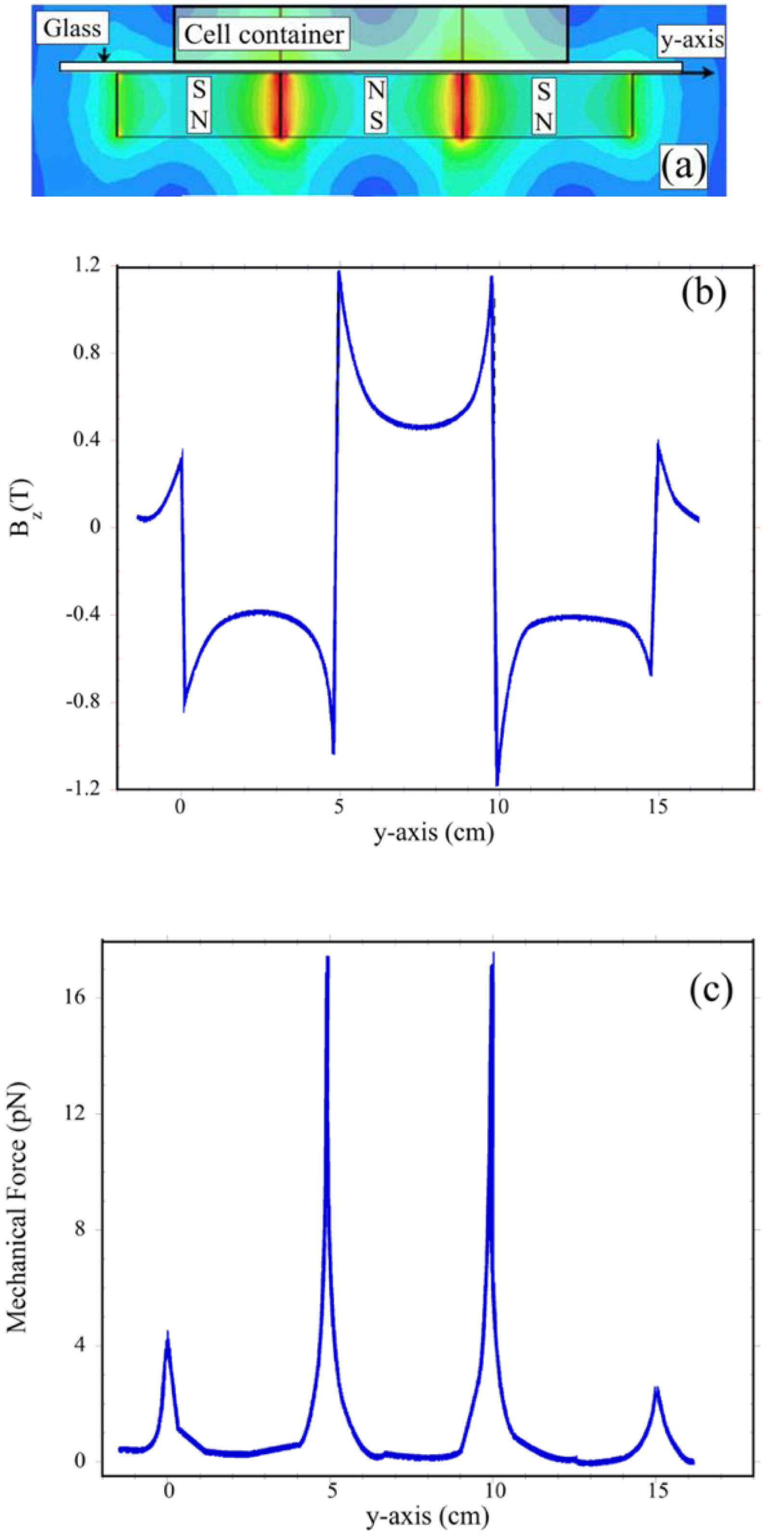 Cells 11 00757 g002 Cells 11 00757 g002