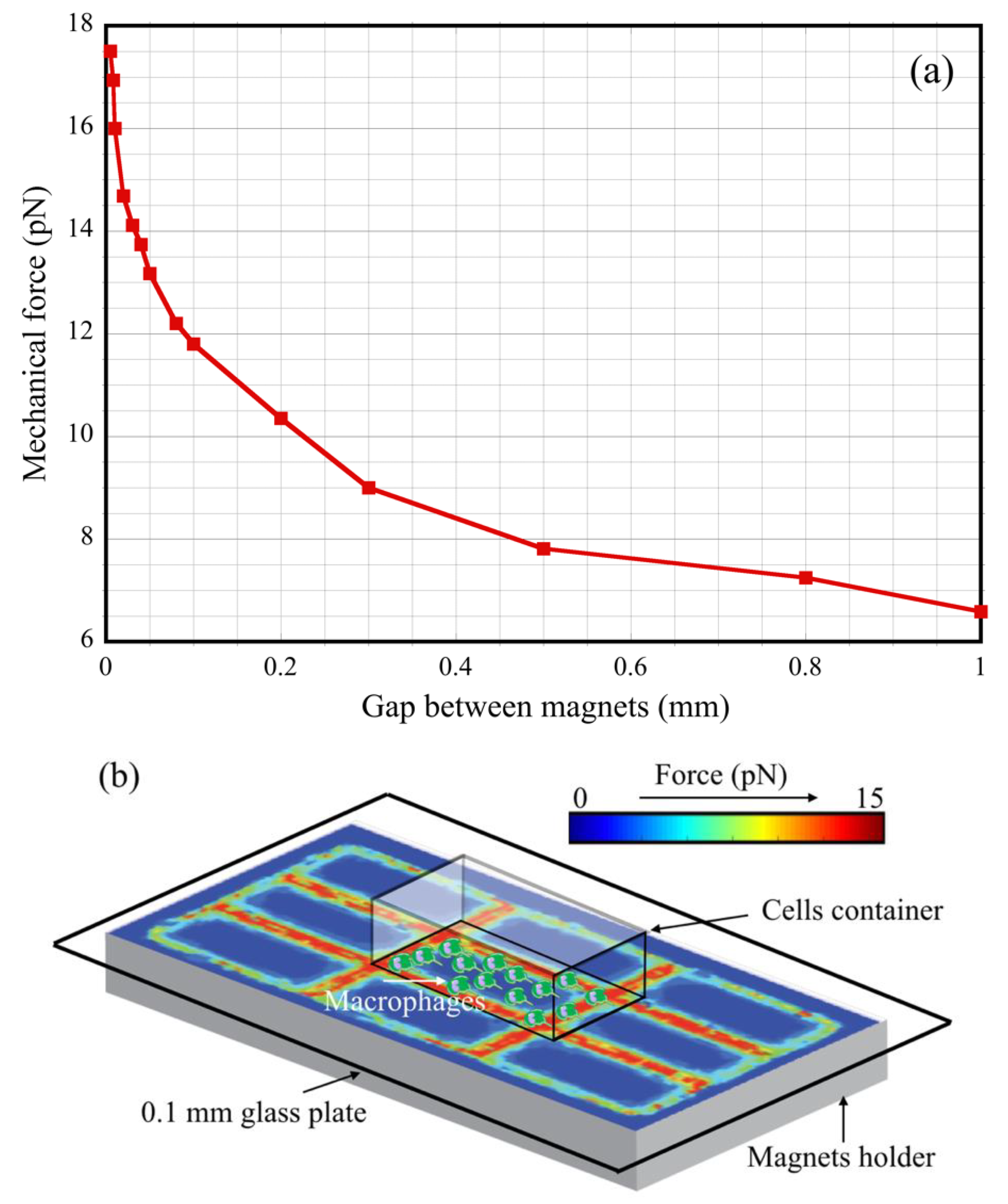 Cells 11 00757 g004 Cells 11 00757 g004