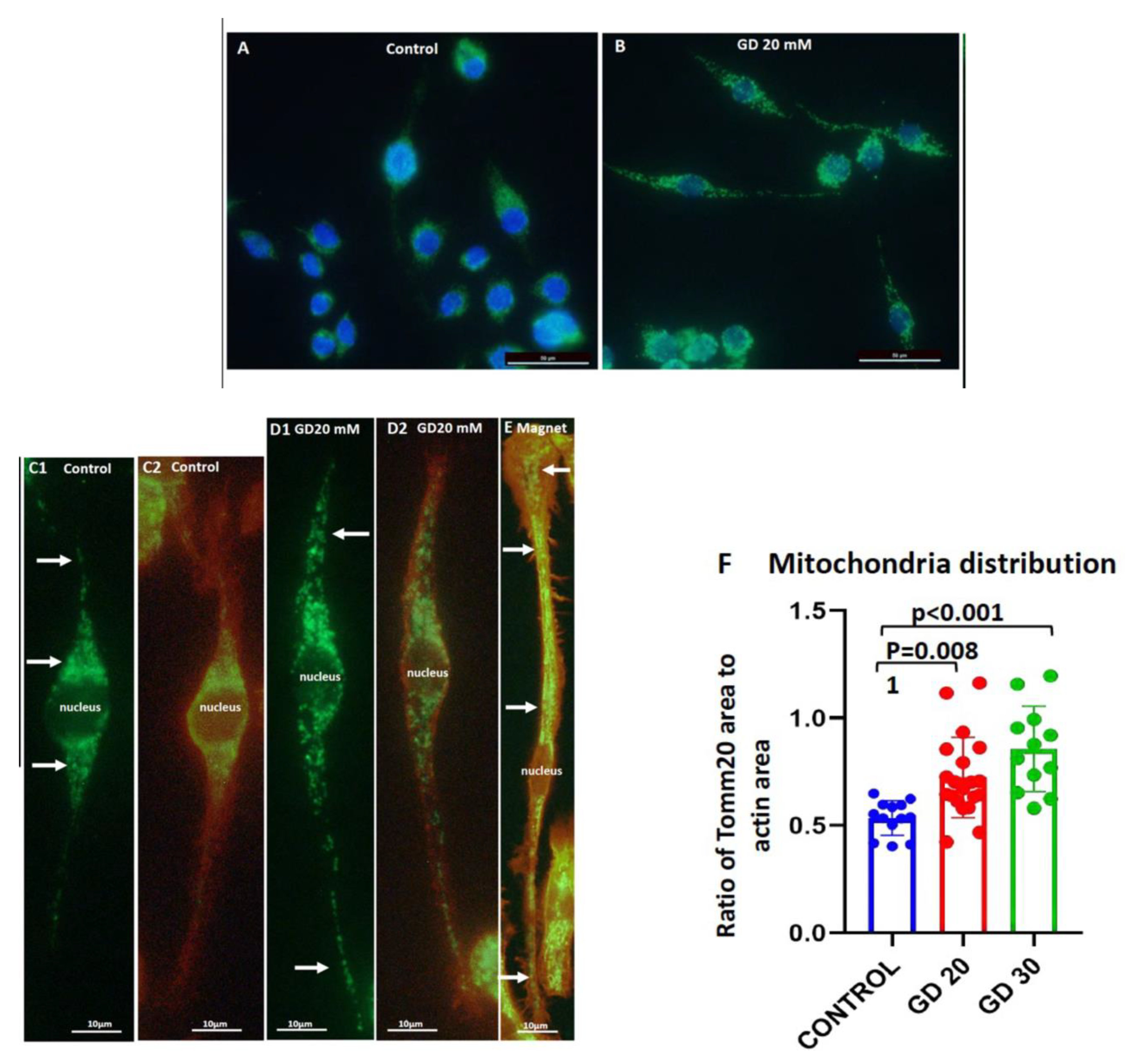 Cells 11 00757 g008 Cells 11 00757 g008