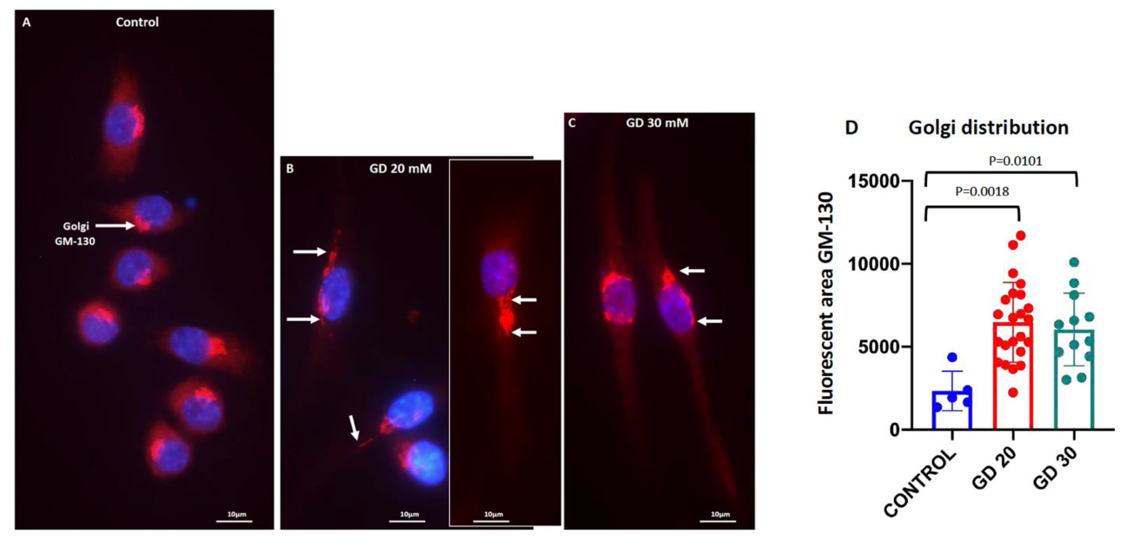Cells 11 00757 g009 Cells 11 00757 g009