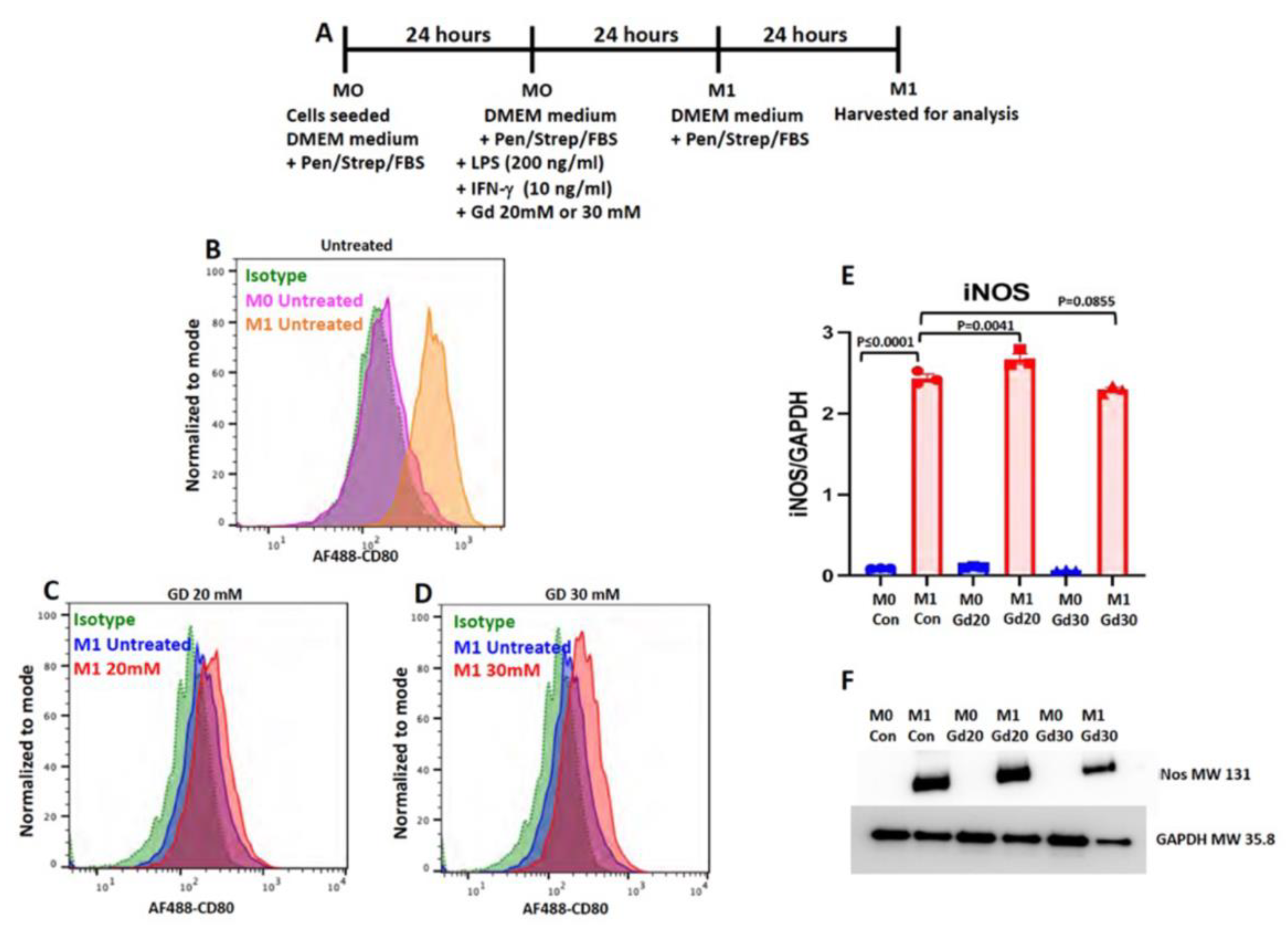 Cells 11 00757 g013 Cells 11 00757 g013