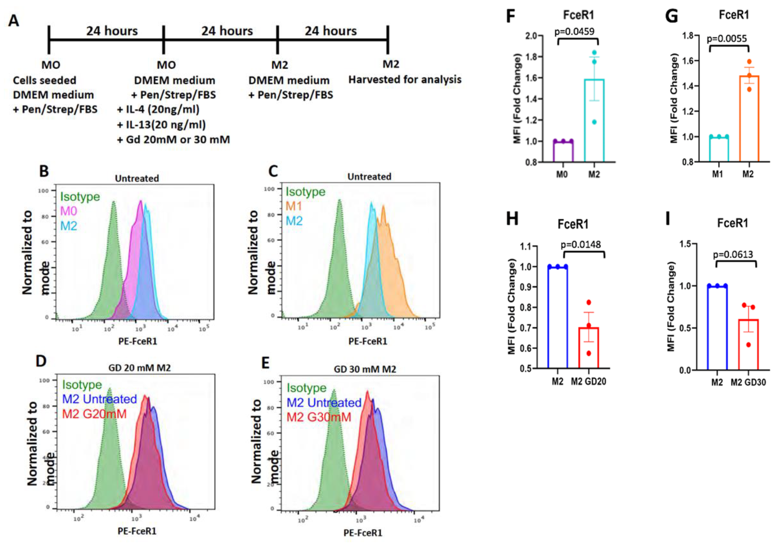 Cells 11 00757 g015 Cells 11 00757 g015