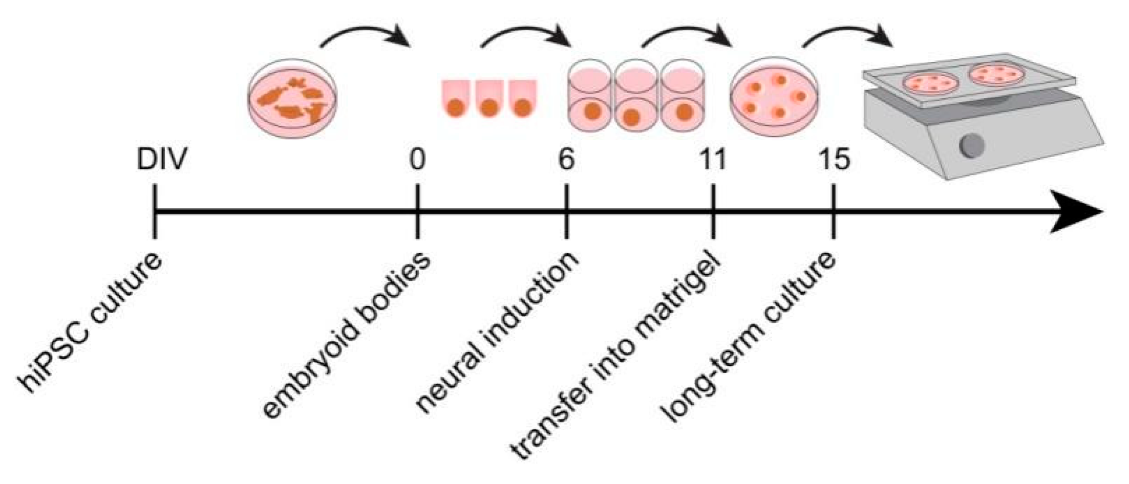 Cells 11 00760 g0a1 550
