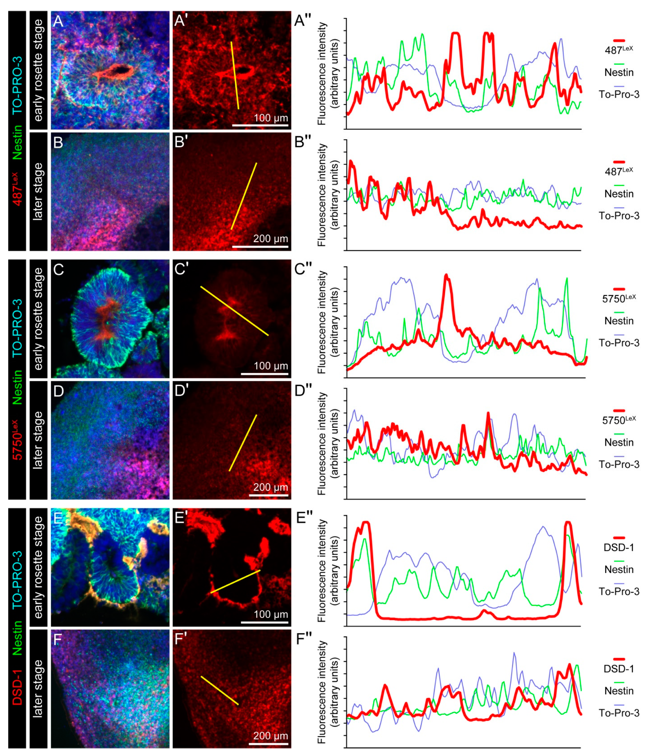 Cells 11 00760 g0a4 550