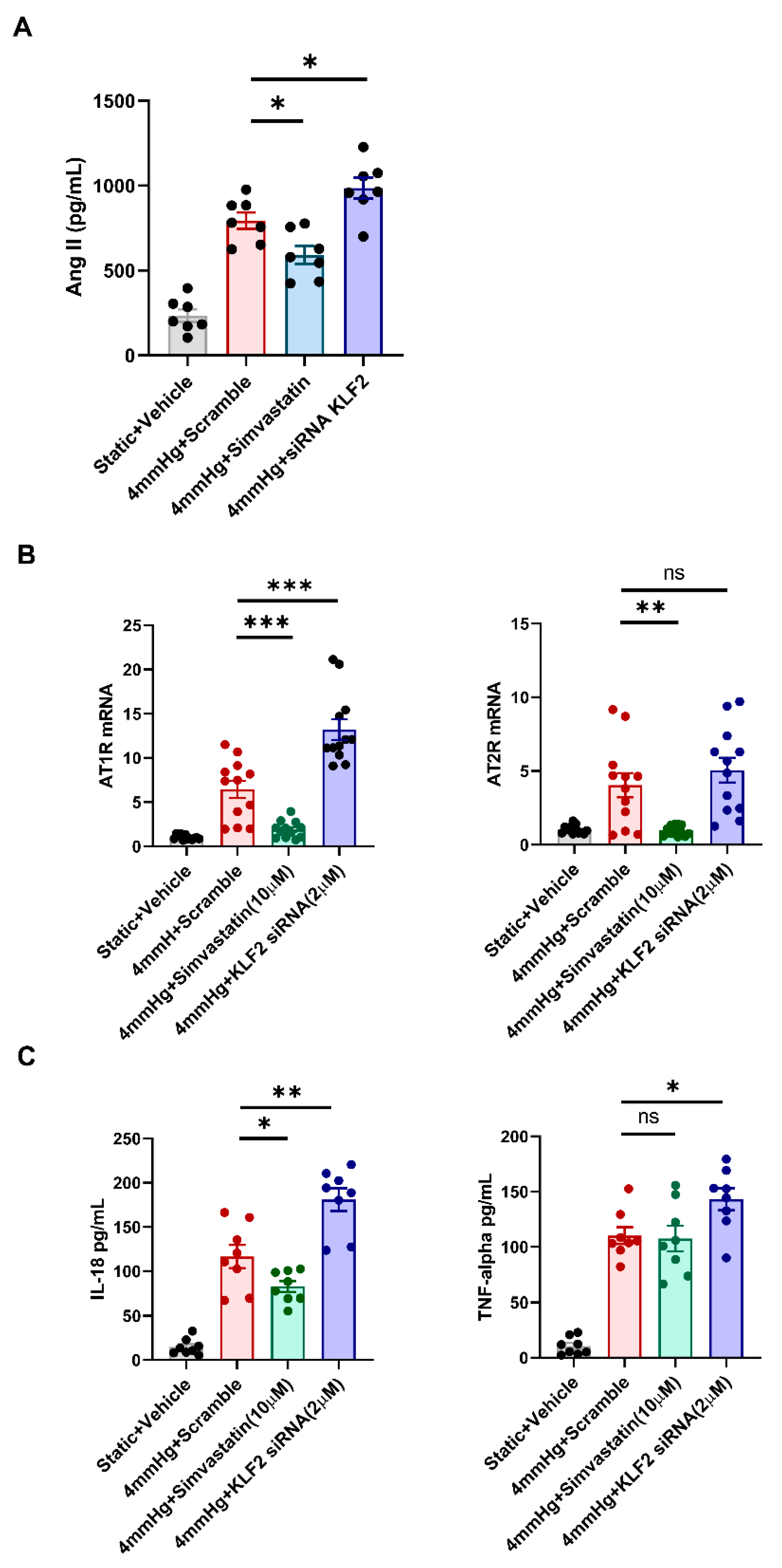 Cells 11 00762 g004a
